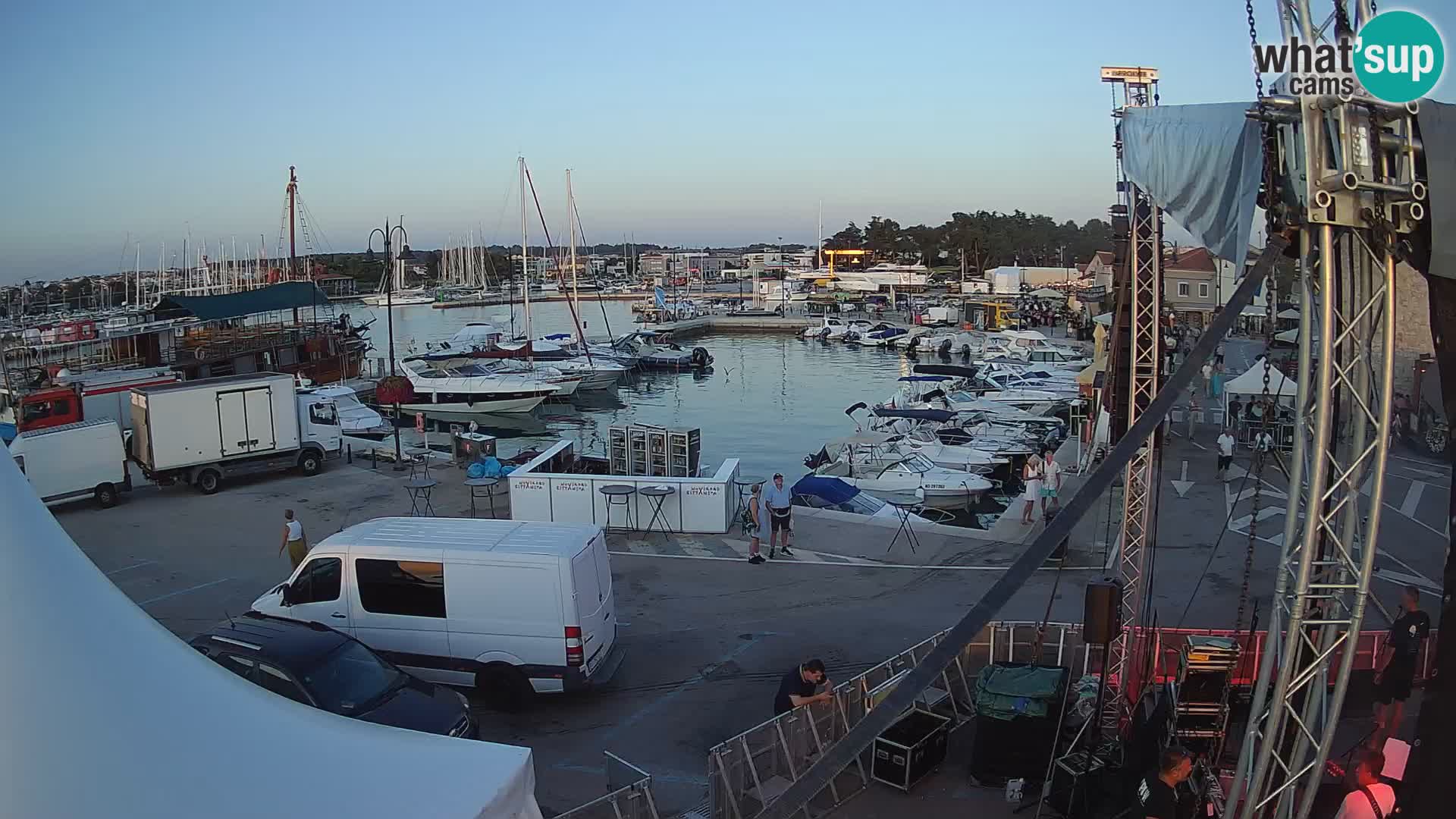 Novigrad | Porporela marina