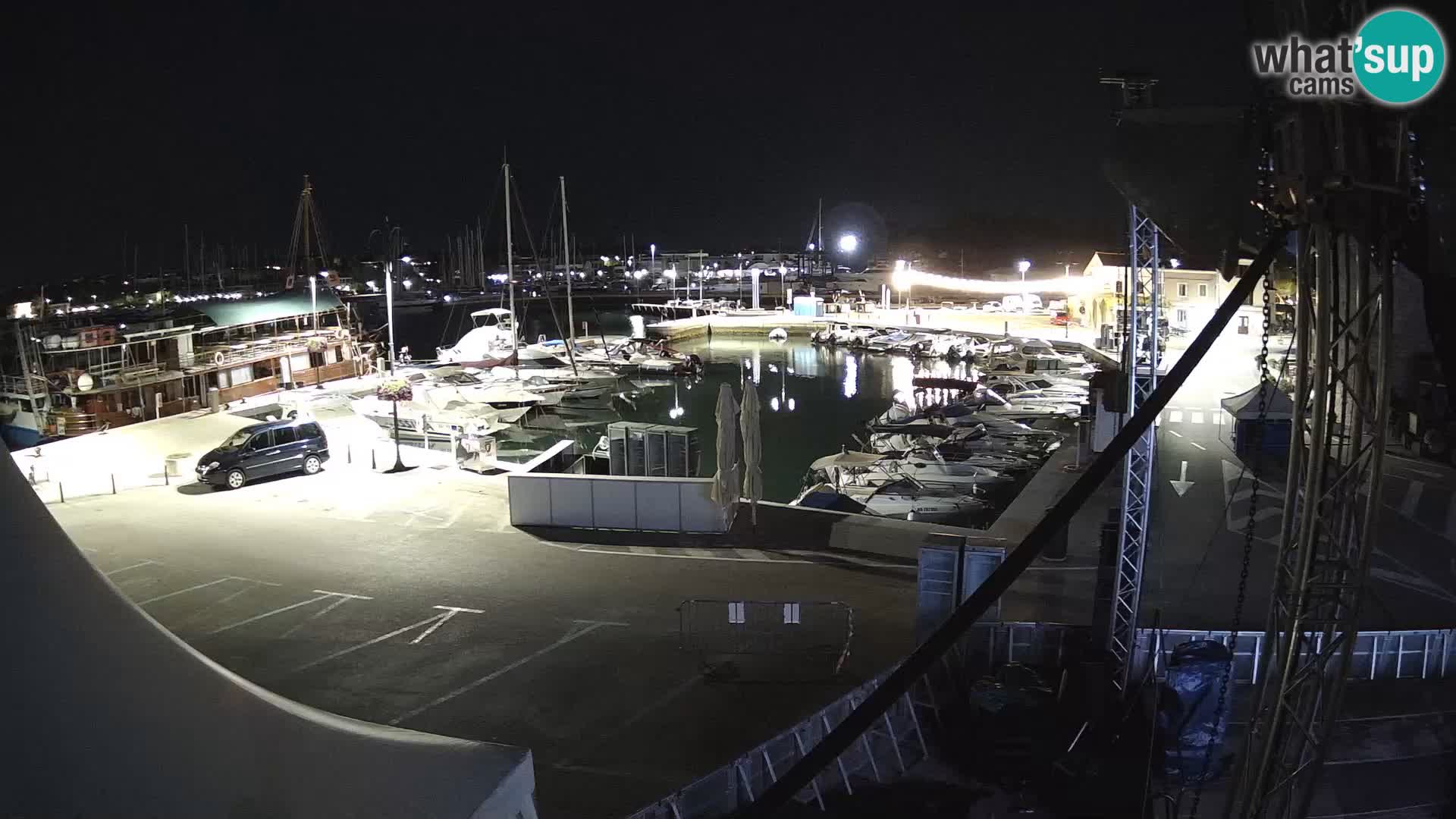 Novigrad | Porporela marina