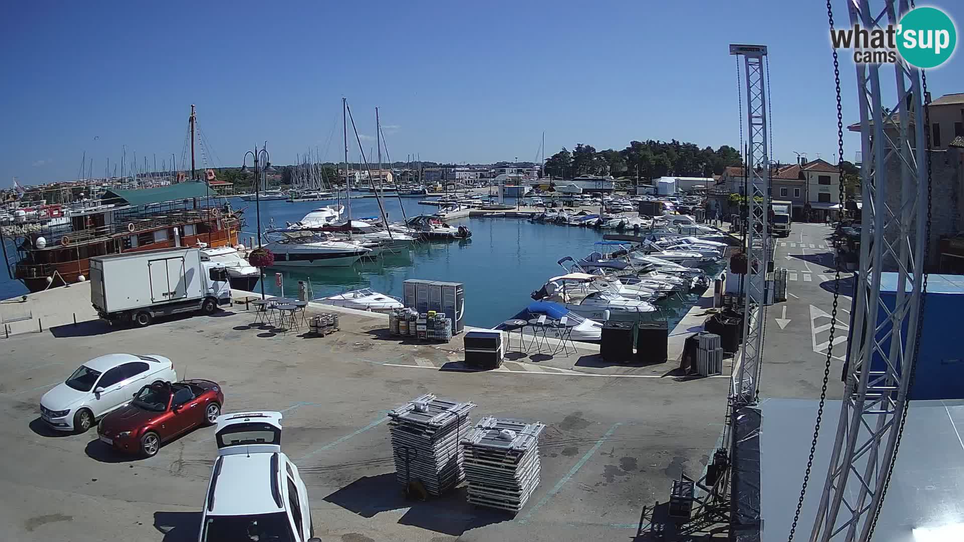 Novigrad | Porporela marina