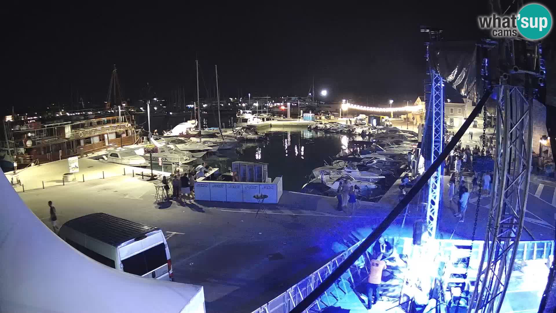 Novigrad | Porporela marina