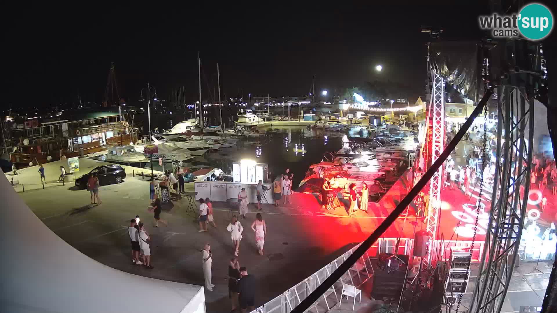 Novigrad | Porporela marina