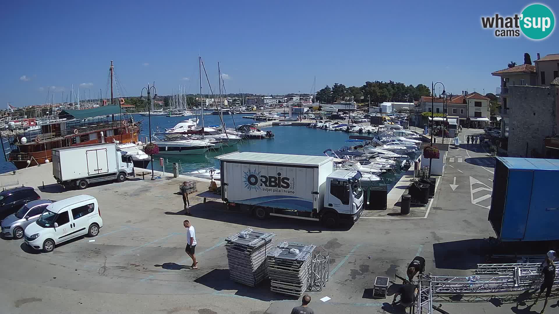 Novigrad | Porporela marina