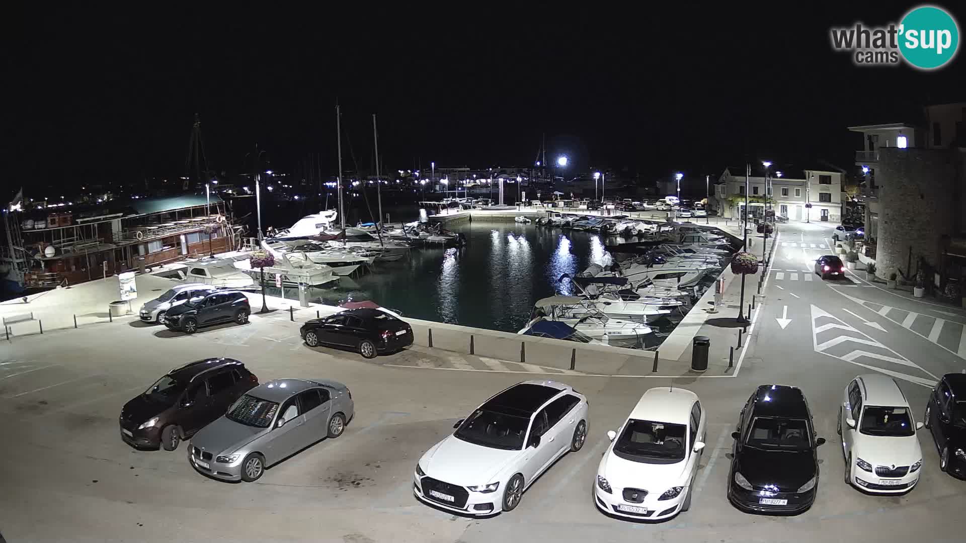 Novigrad | Porporela marina