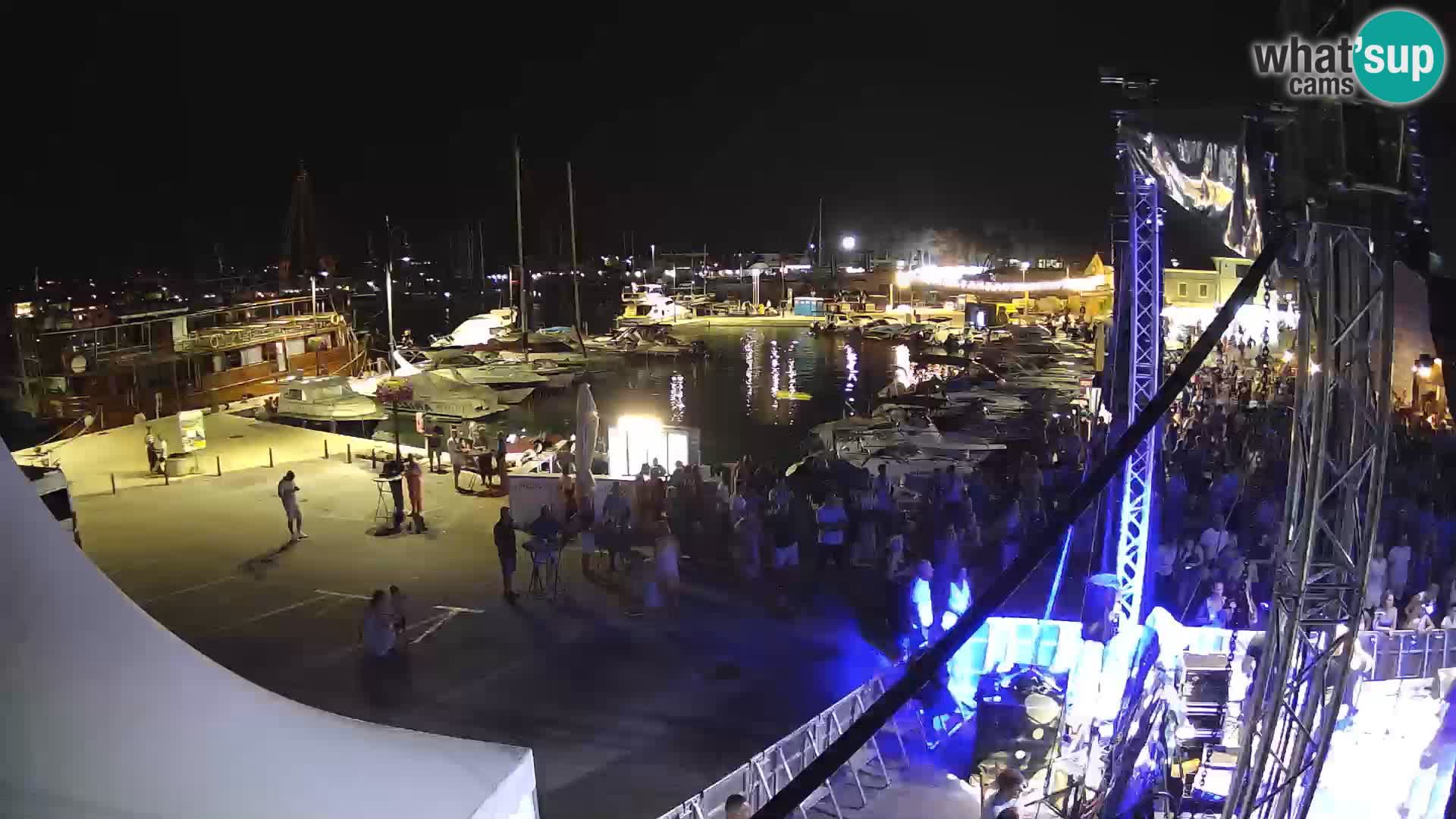 Novigrad | Porporela marina
