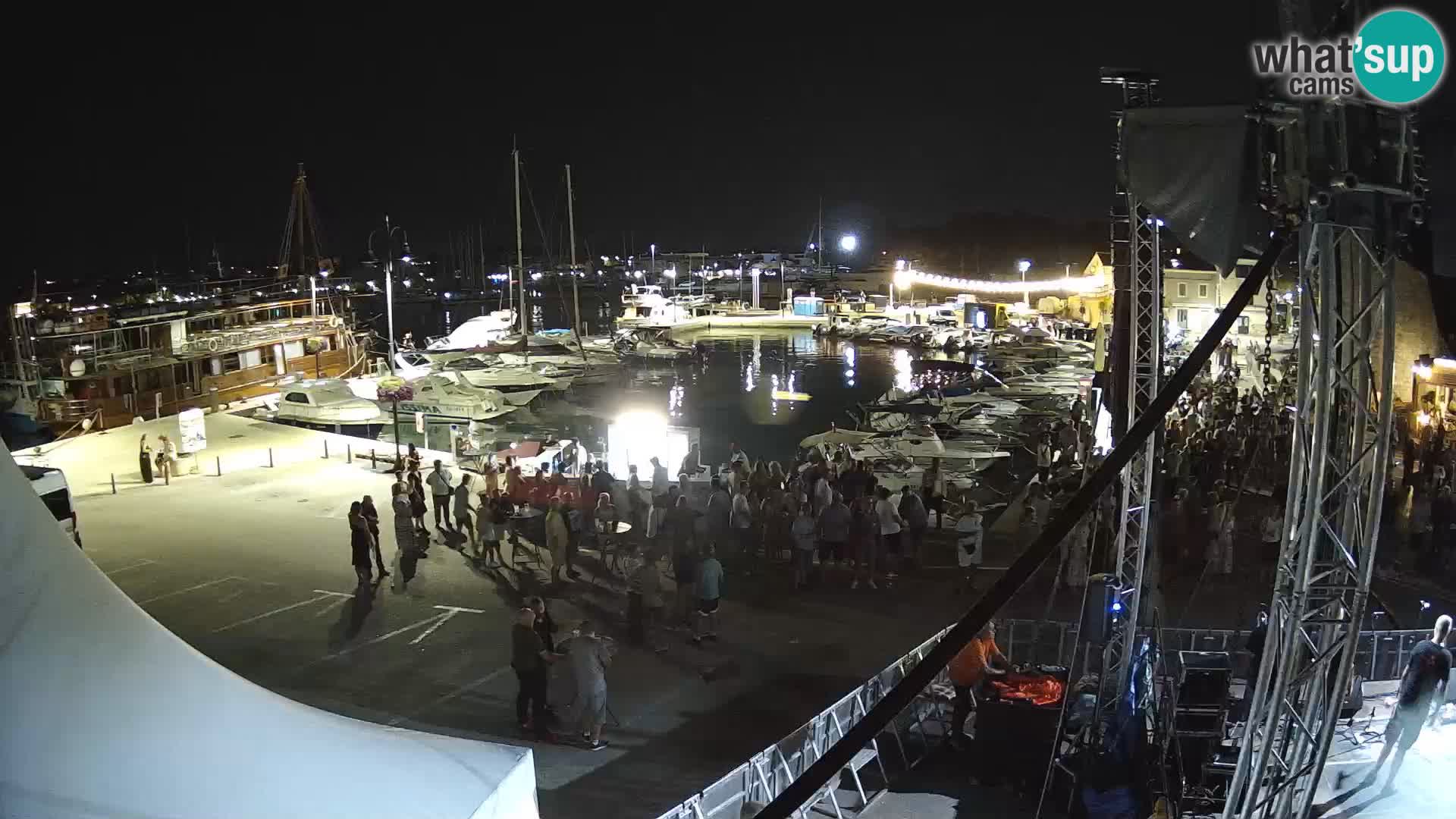 Novigrad | Porporela marina