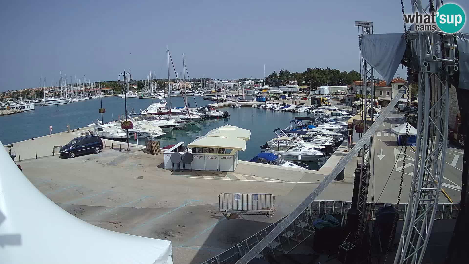 Novigrad | Porporela marina