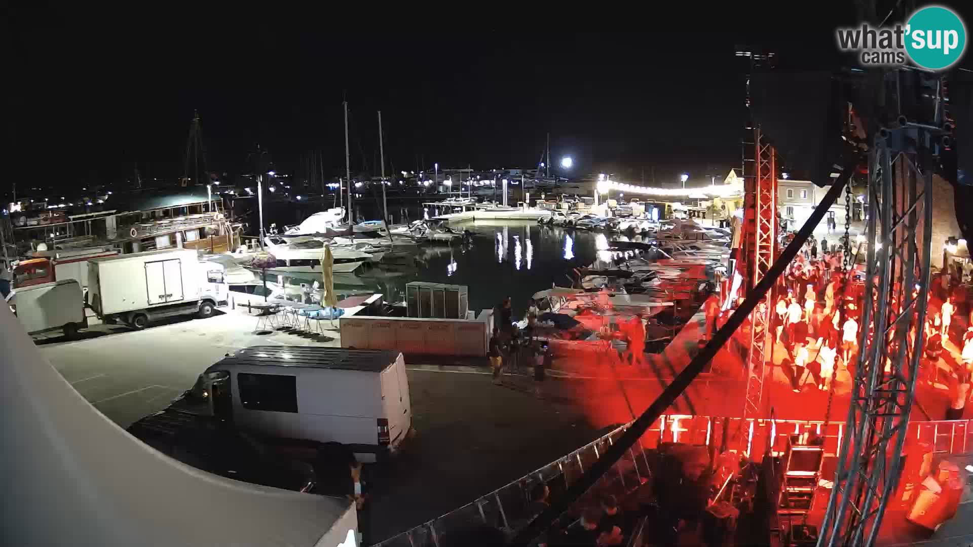 Novigrad | Porporela marina