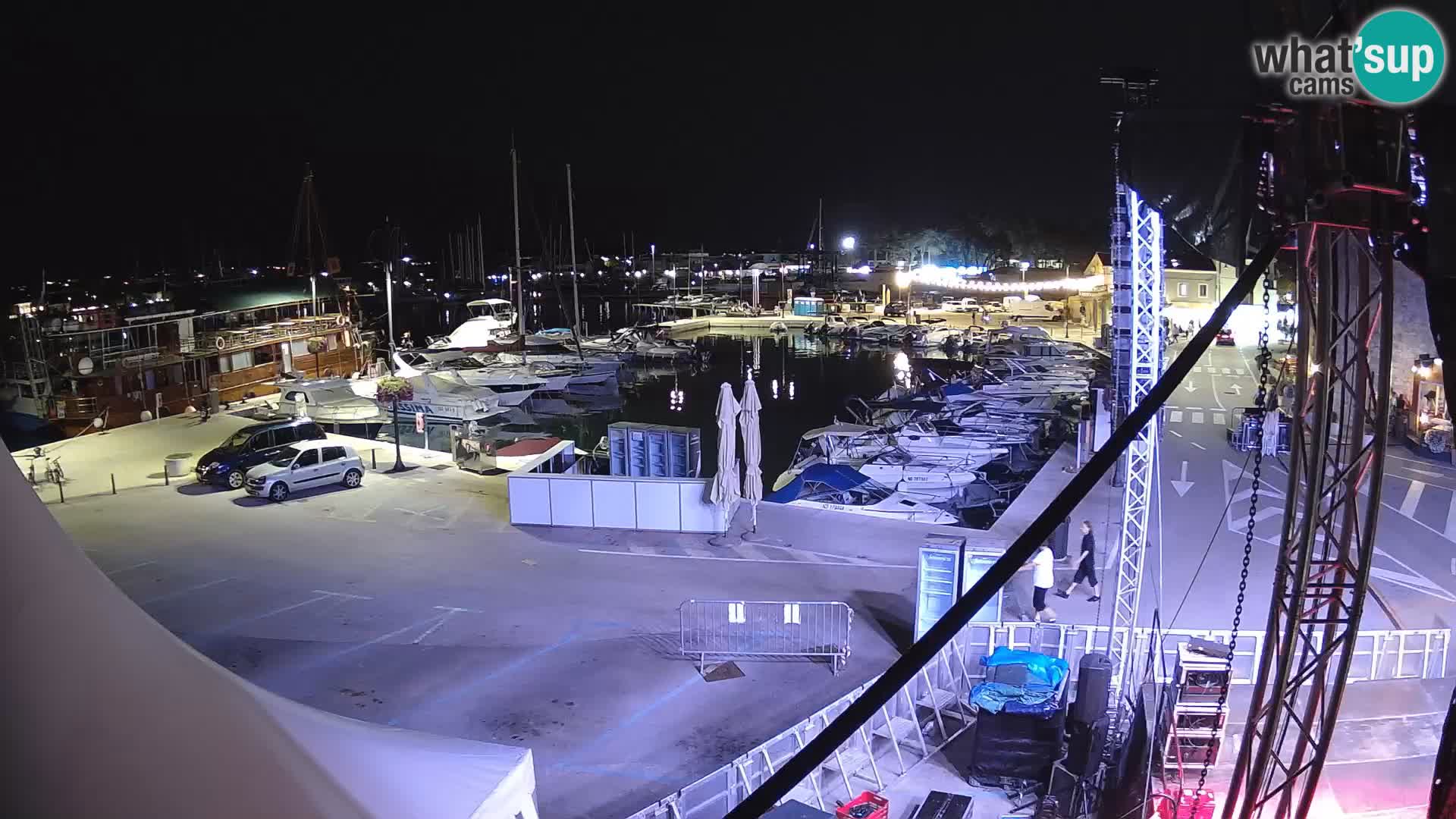 Novigrad | Porporela marina
