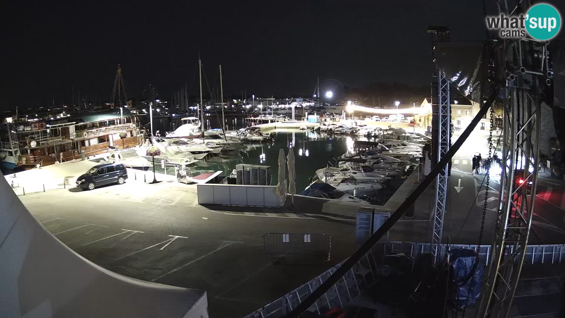 Novigrad | Porporela marina