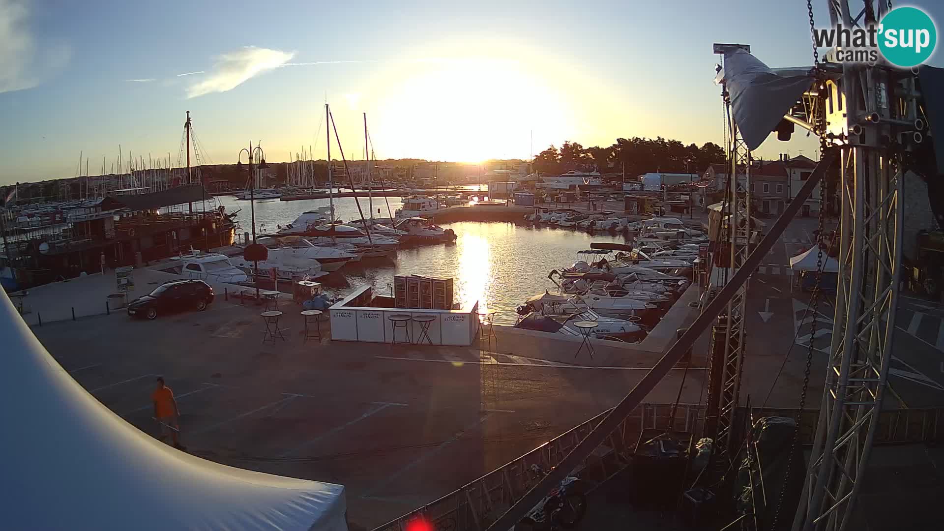 Novigrad | Porporela marina