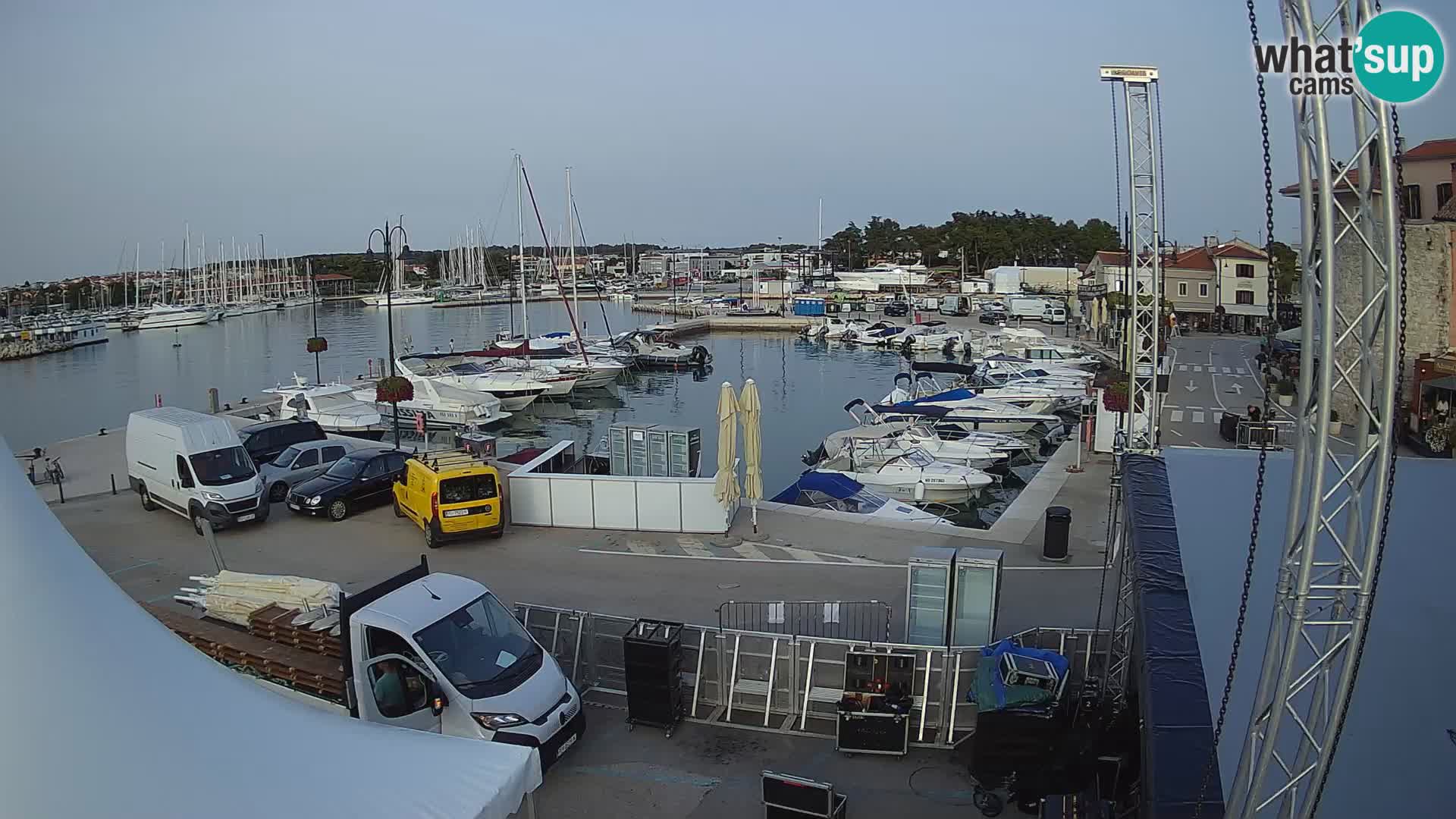 Novigrad | Porporela marina