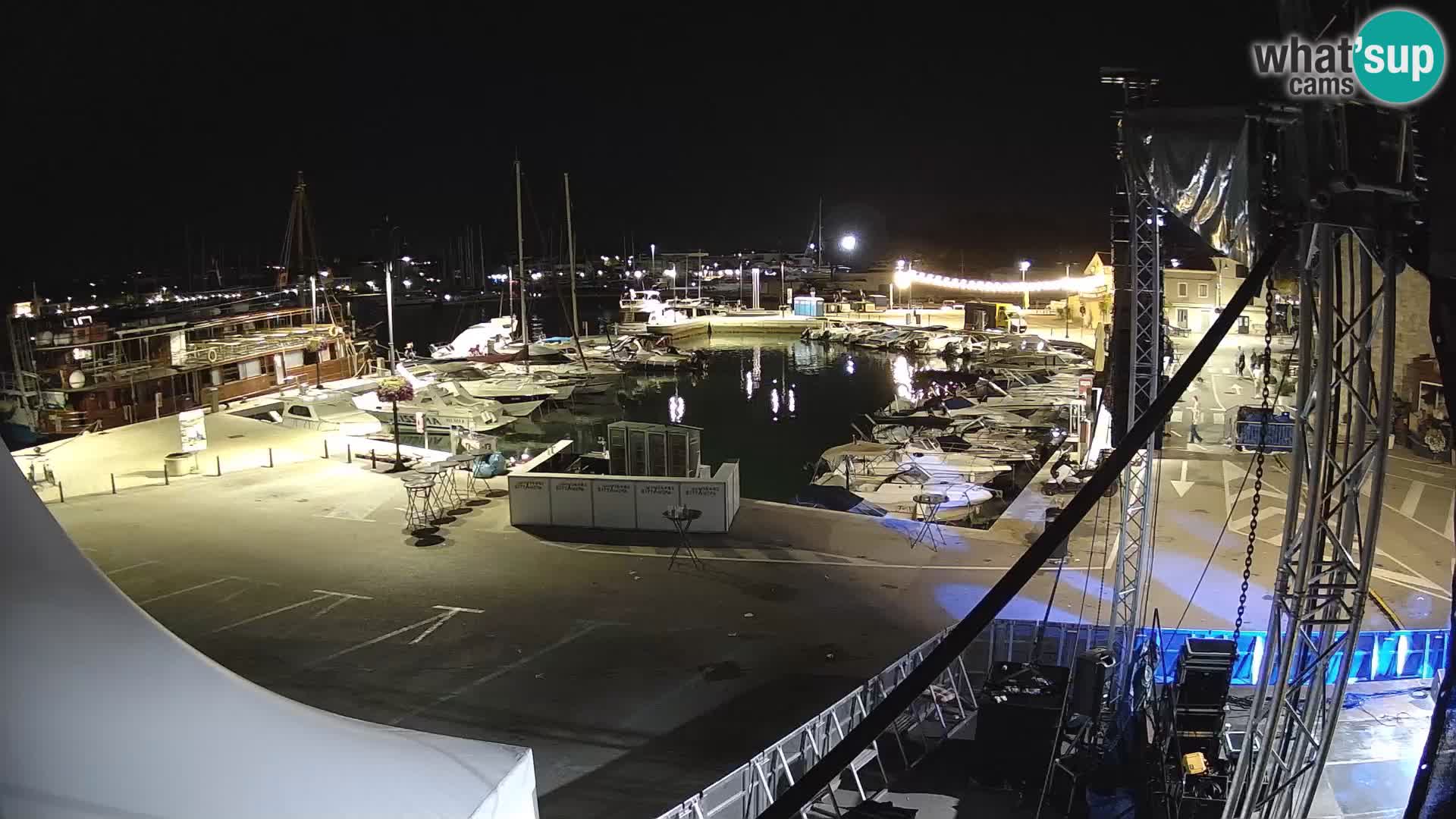 Novigrad | Porporela marina