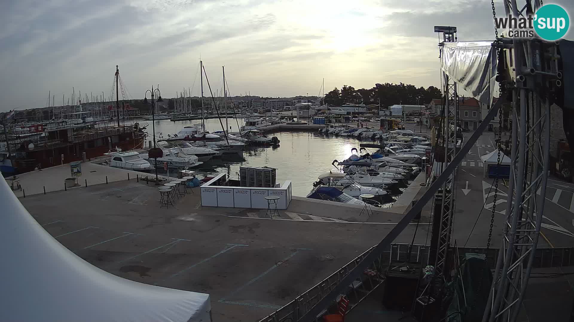 Novigrad | Porporela marina