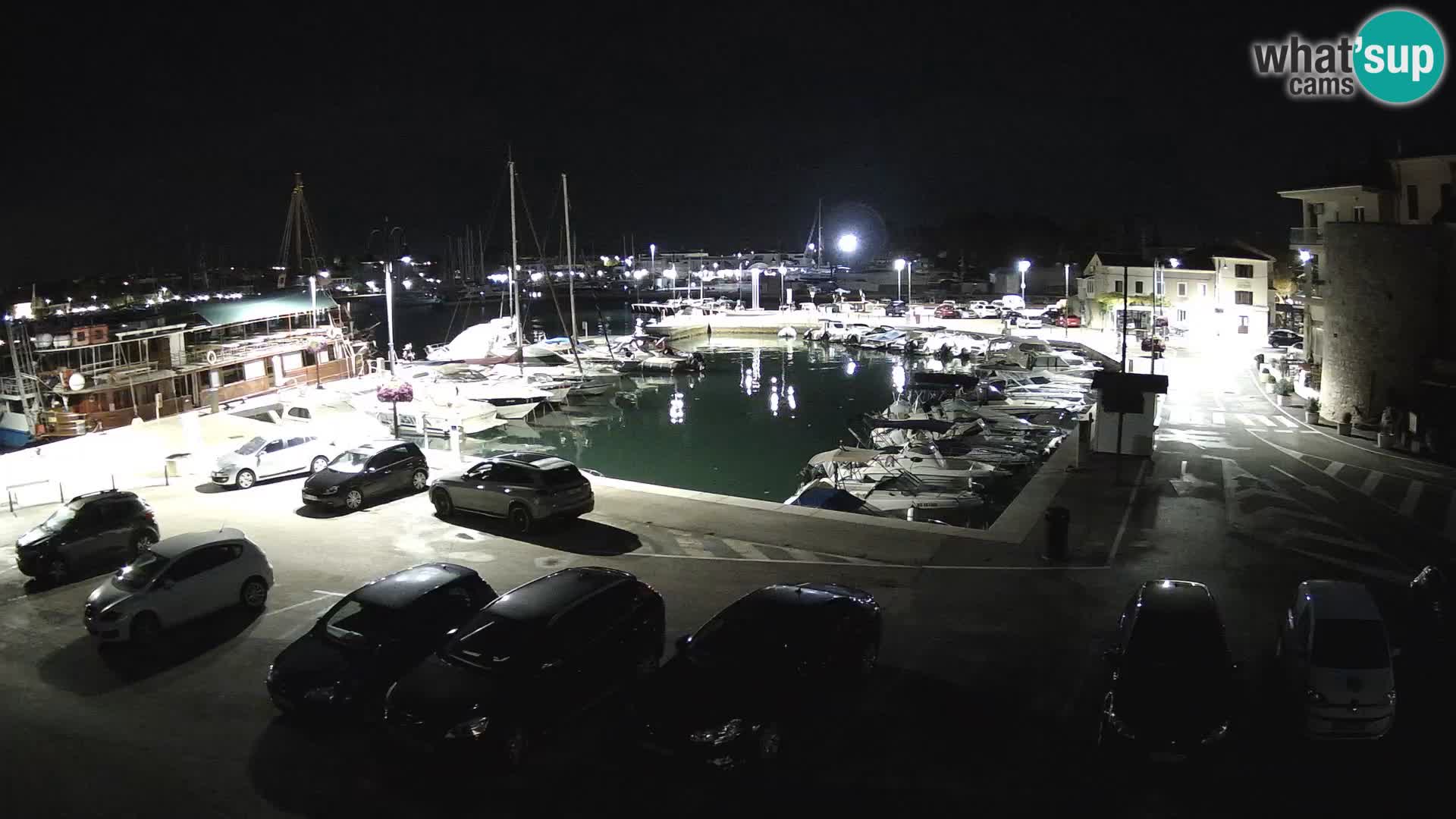 Novigrad | Porporela marina