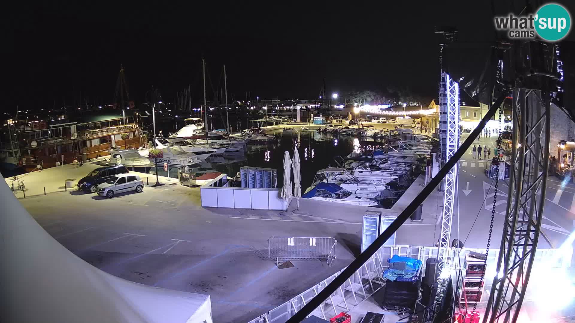 Novigrad | Porporela marina
