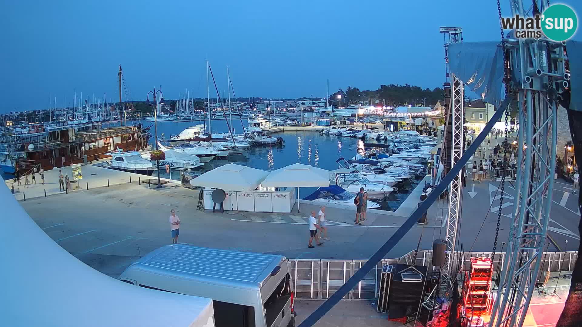 Novigrad | Porporela marina