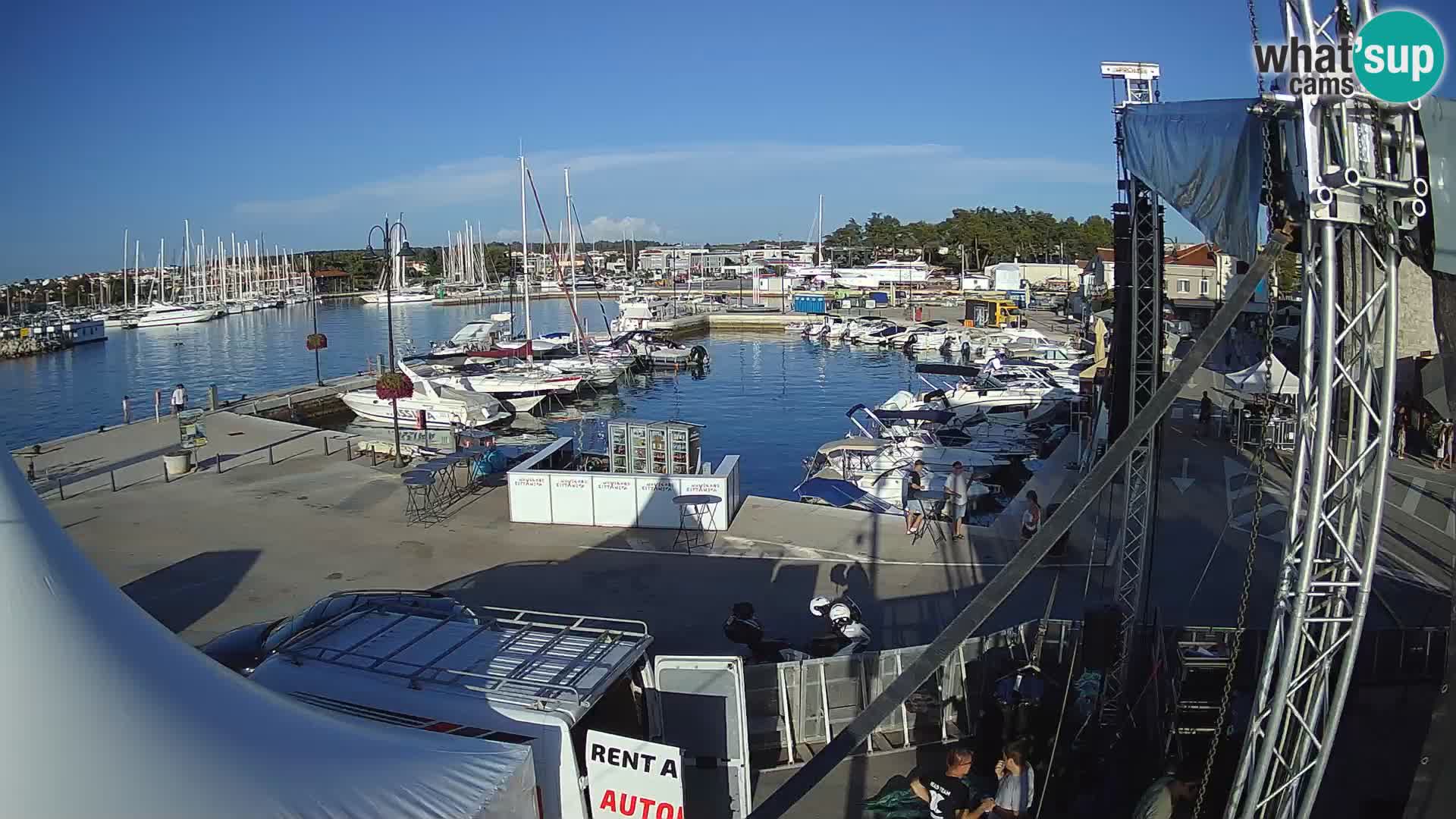 Novigrad | Porporela marina