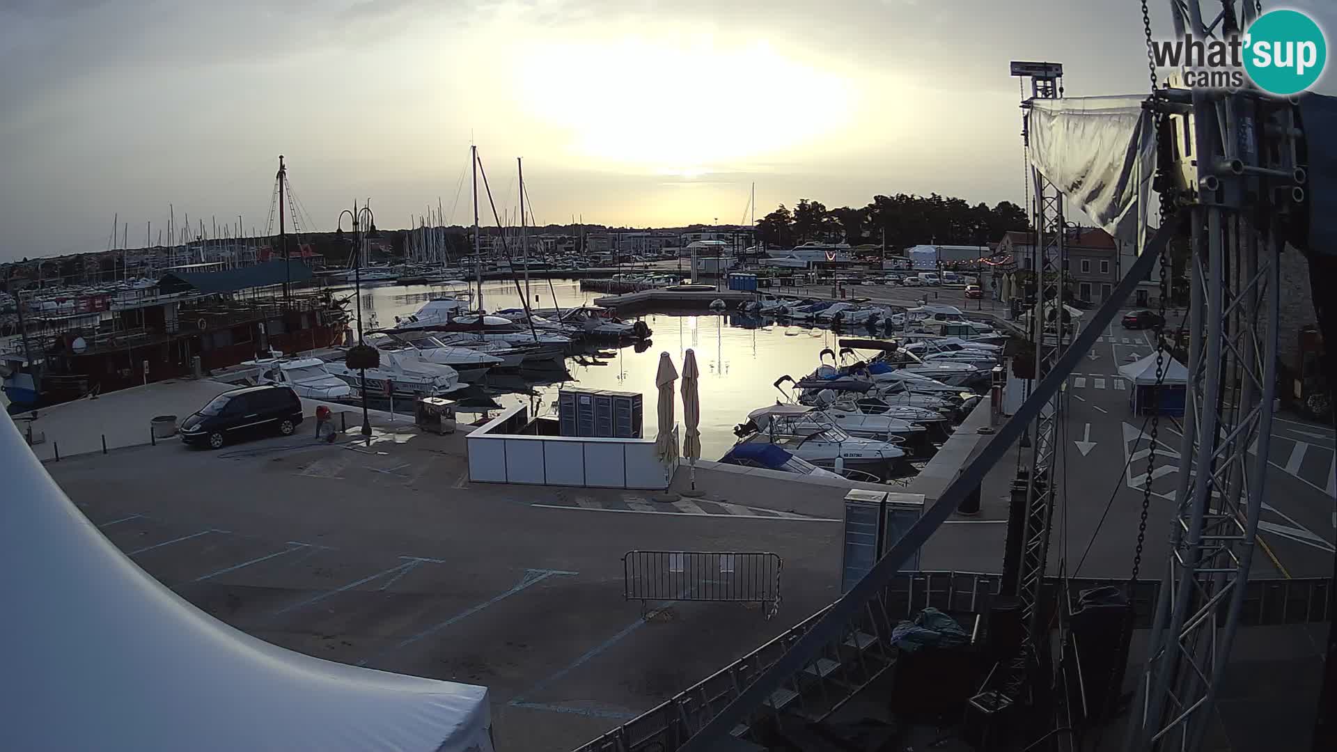 Novigrad | Porporela marina