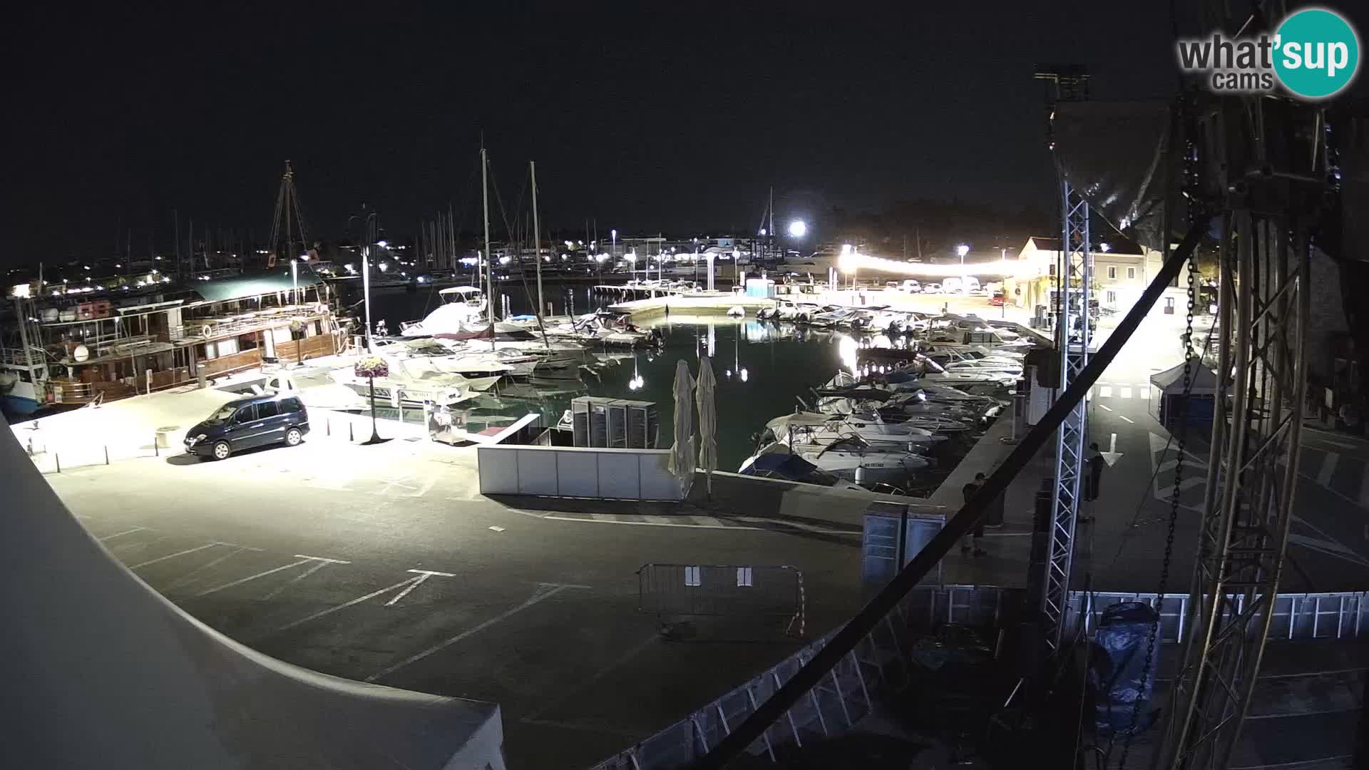 Novigrad | Porporela marina