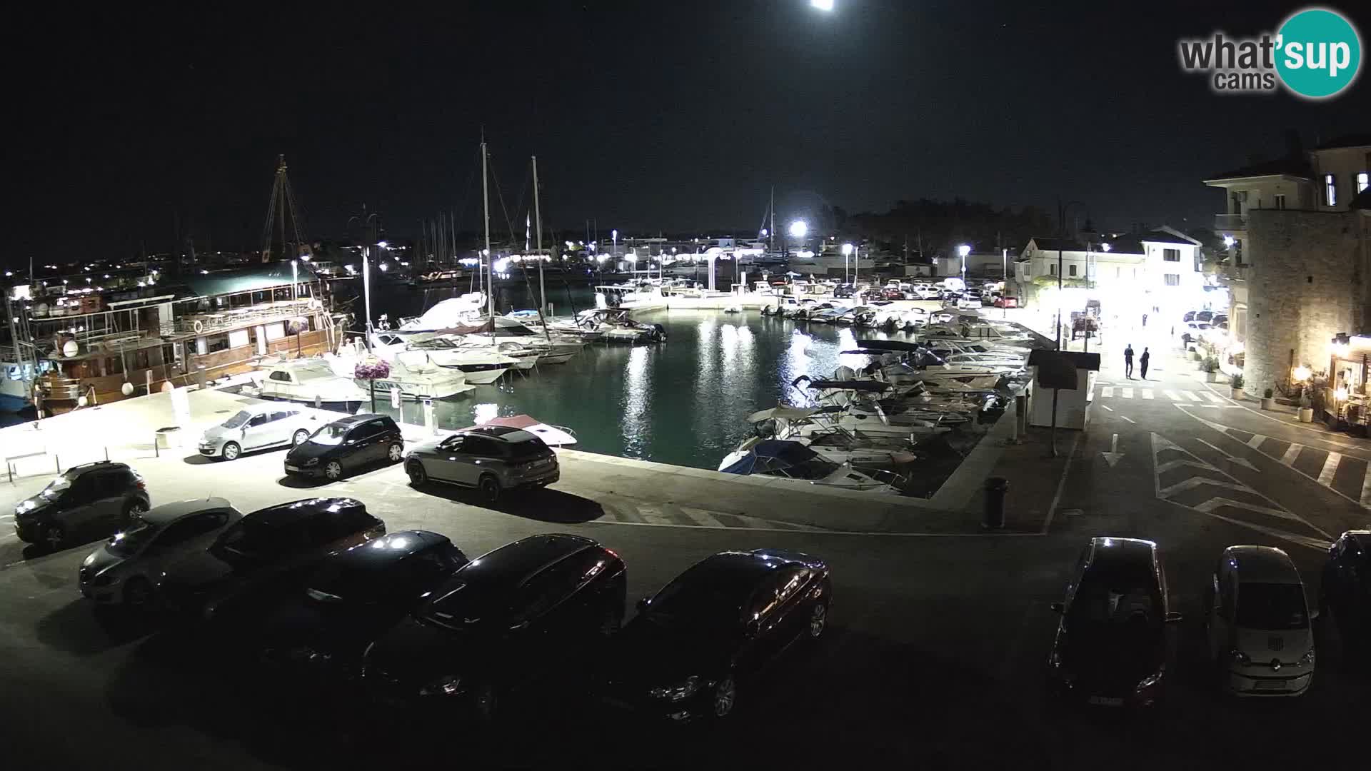 Novigrad | Porporela marina