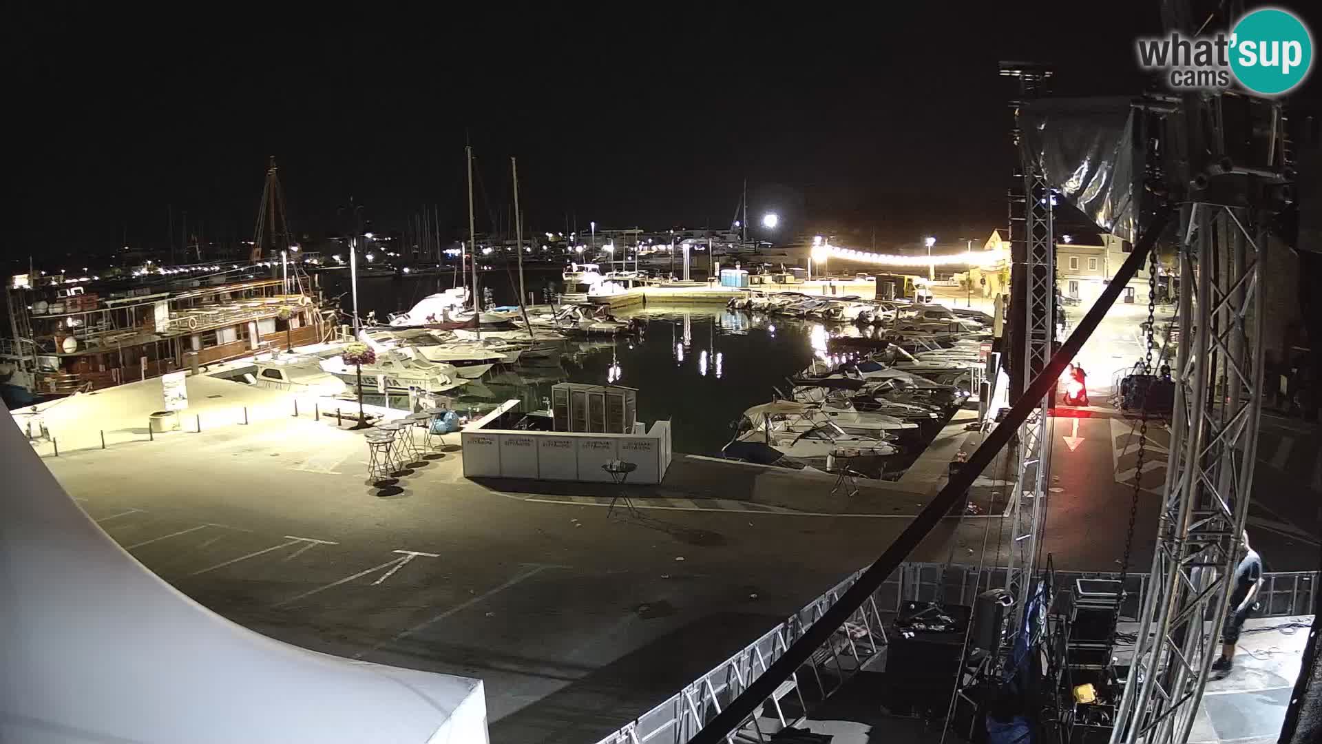 Novigrad | Porporela marina