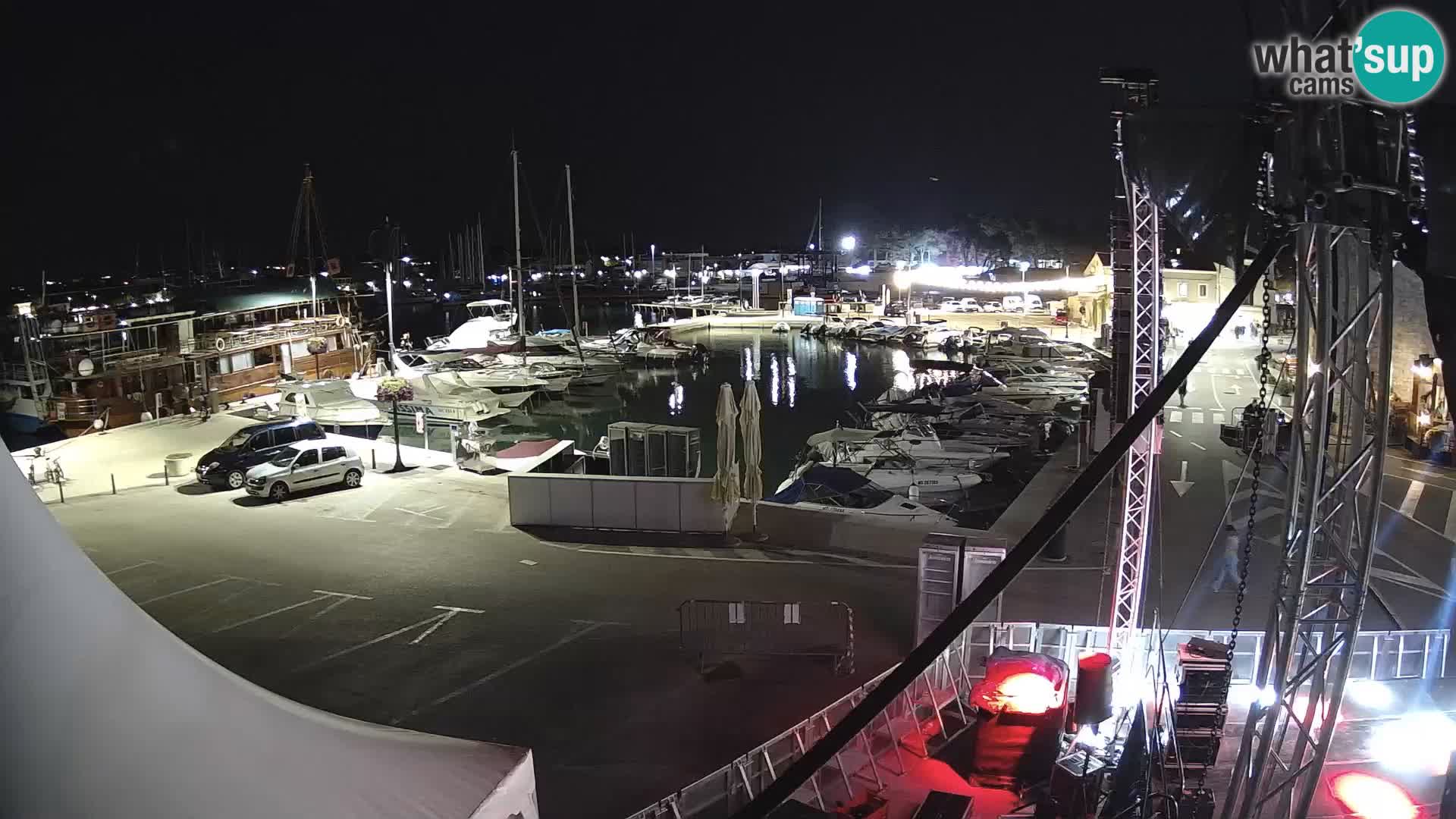 Novigrad | Porporela marina