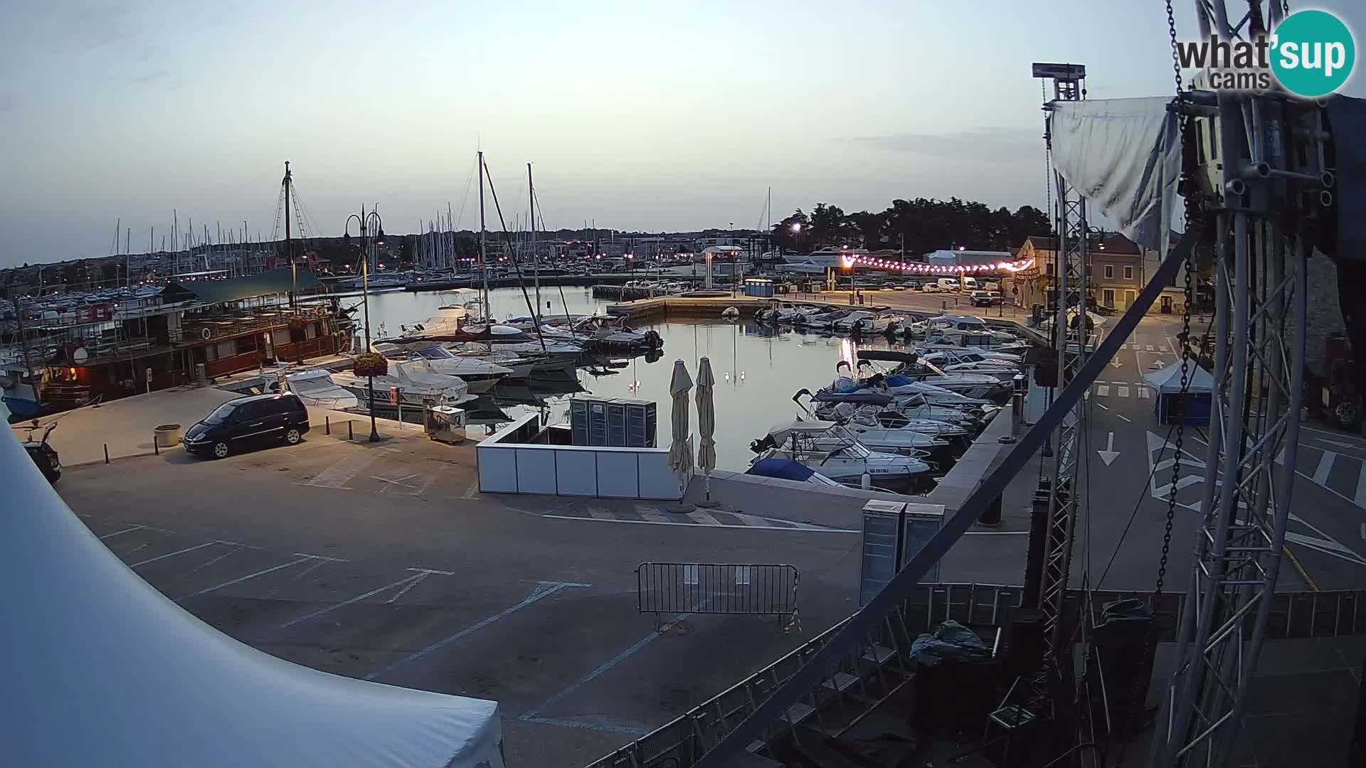 Novigrad | Porporela marina