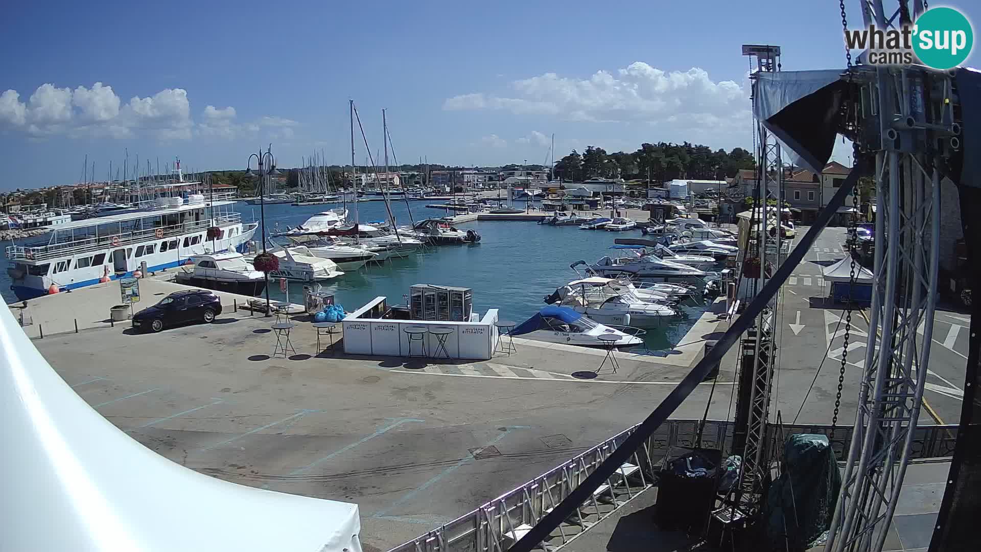 Novigrad | Porporela marina