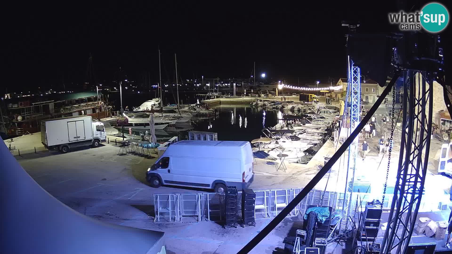 Novigrad | Porporela marina