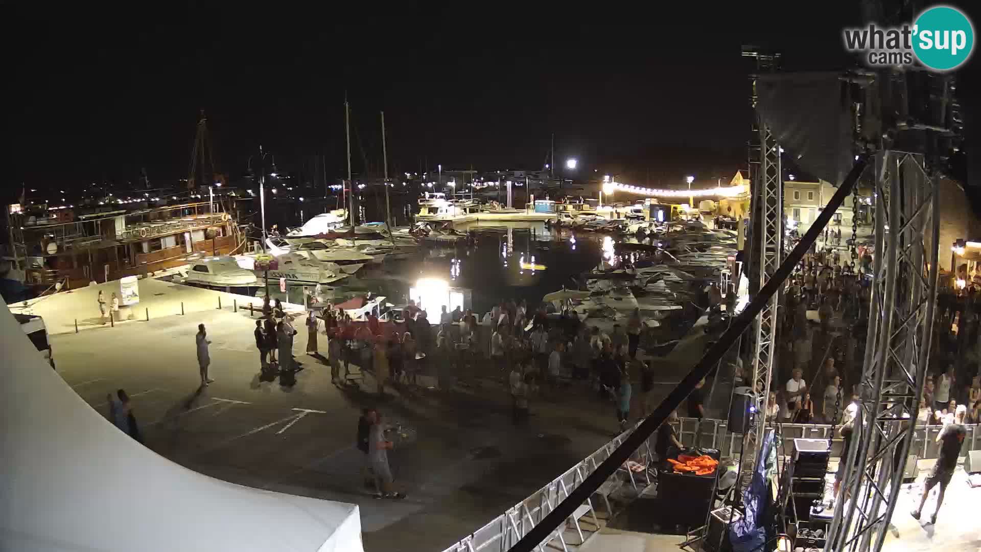 Novigrad | Porporela marina
