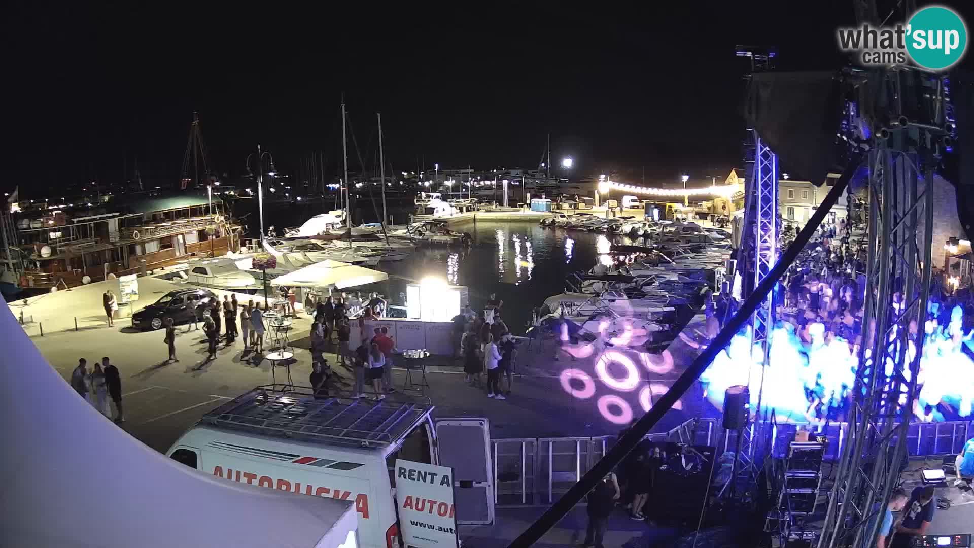 Novigrad | Porporela marina