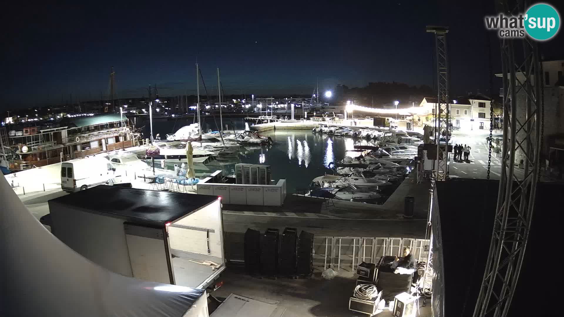 Novigrad | Porporela marina