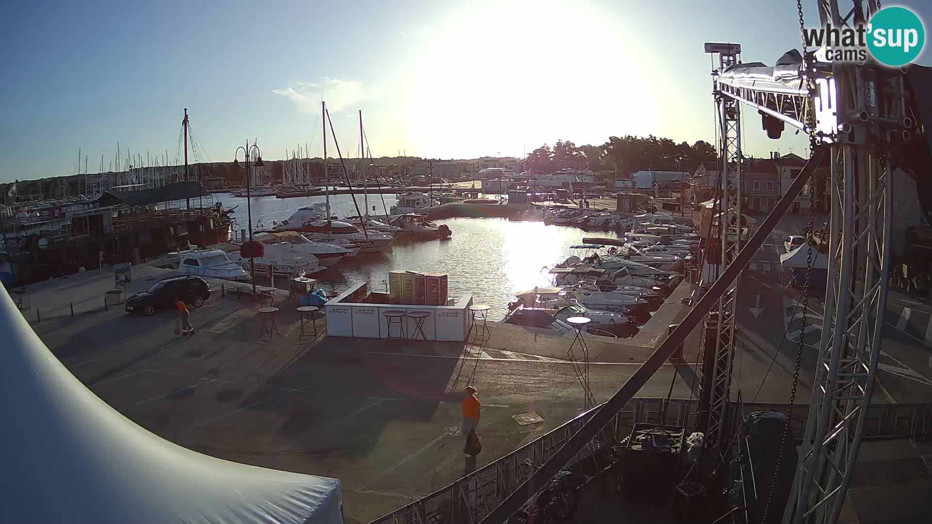 Novigrad | Porporela marina