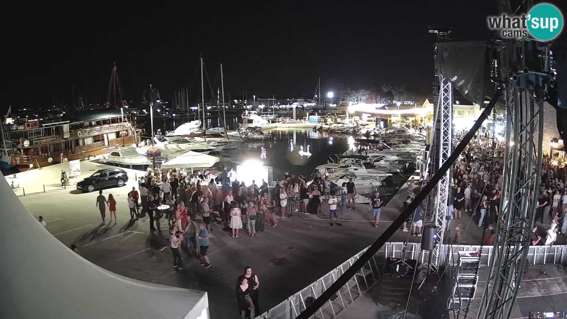 Novigrad | Porporela marina