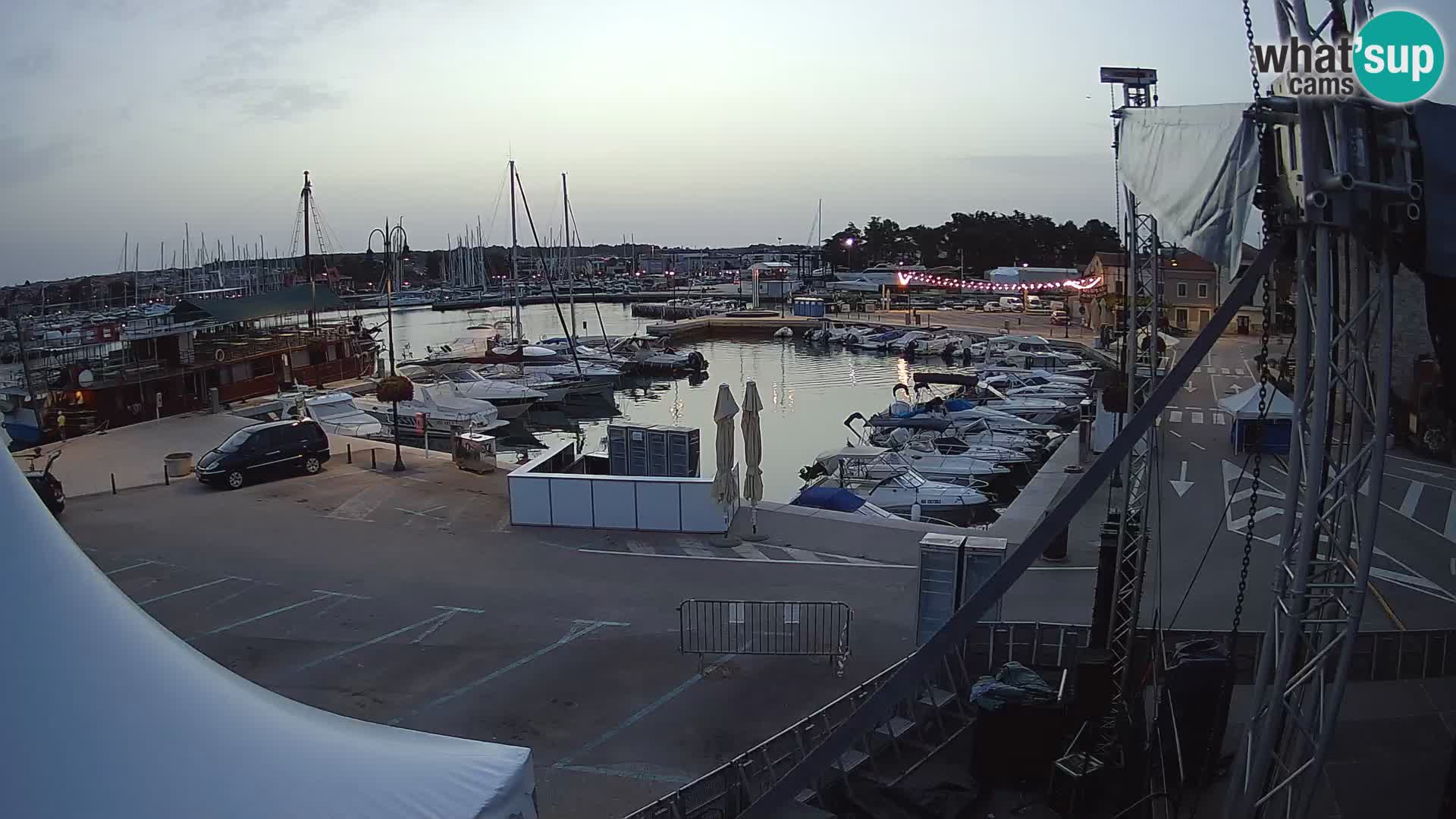 Novigrad | Porporela marina