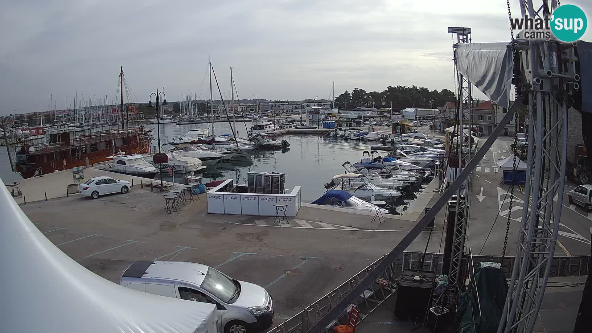 Novigrad | Porporela marina