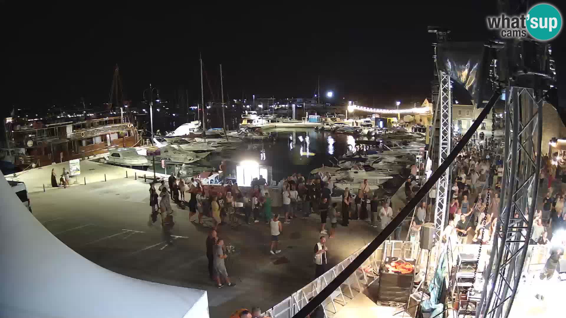 Novigrad | Porporela marina