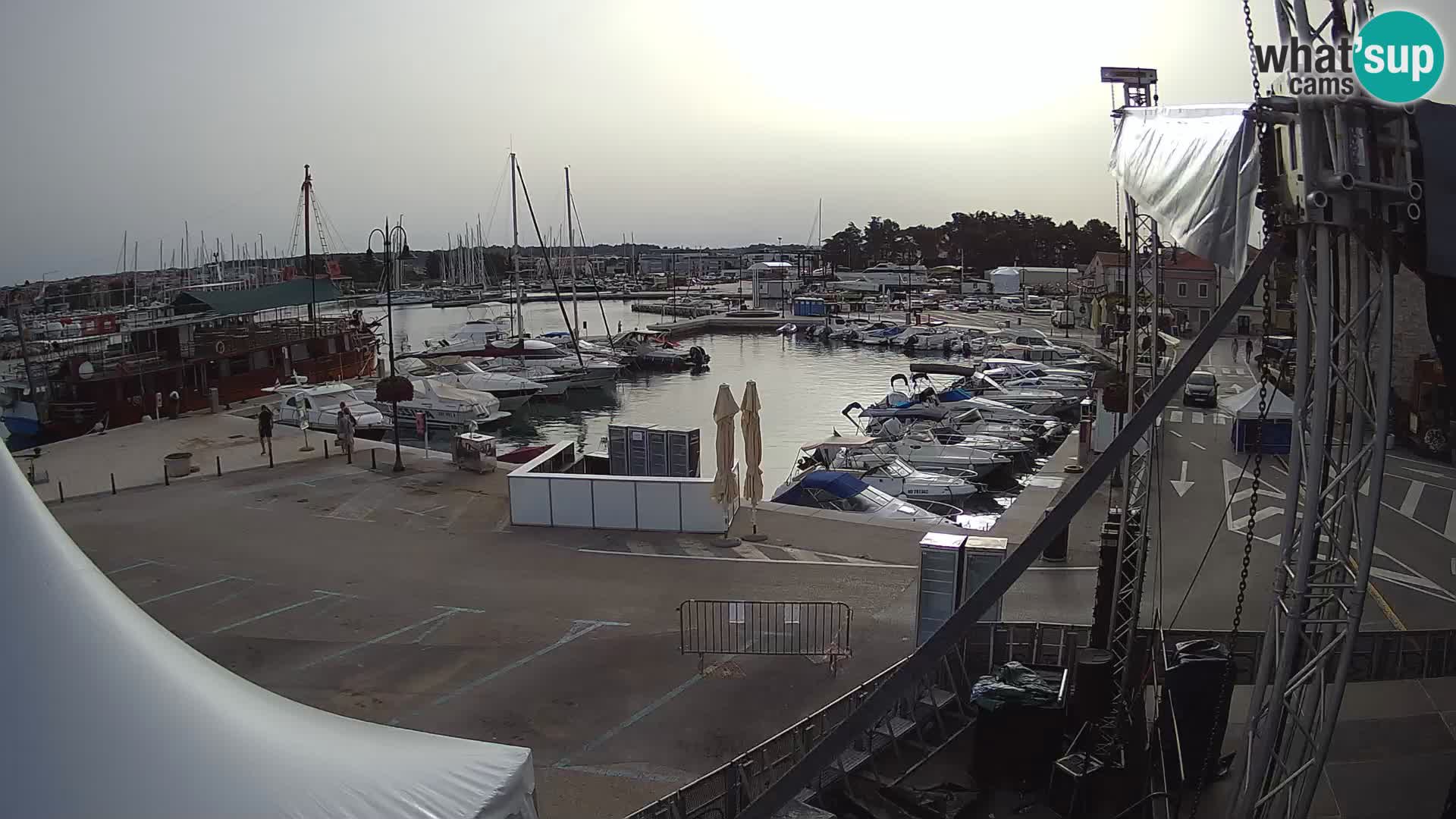 Novigrad | Porporela marina
