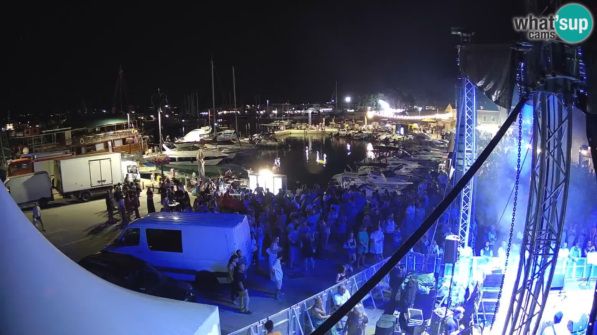 Novigrad | Porporela marina