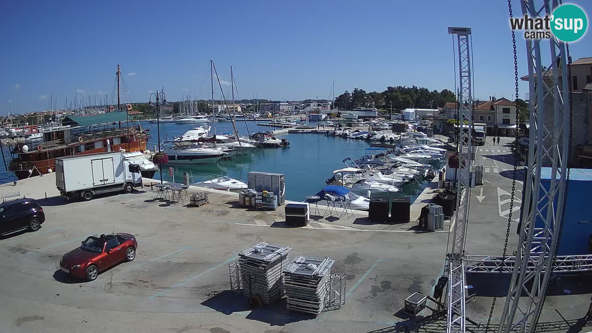 Novigrad | Porporela marina