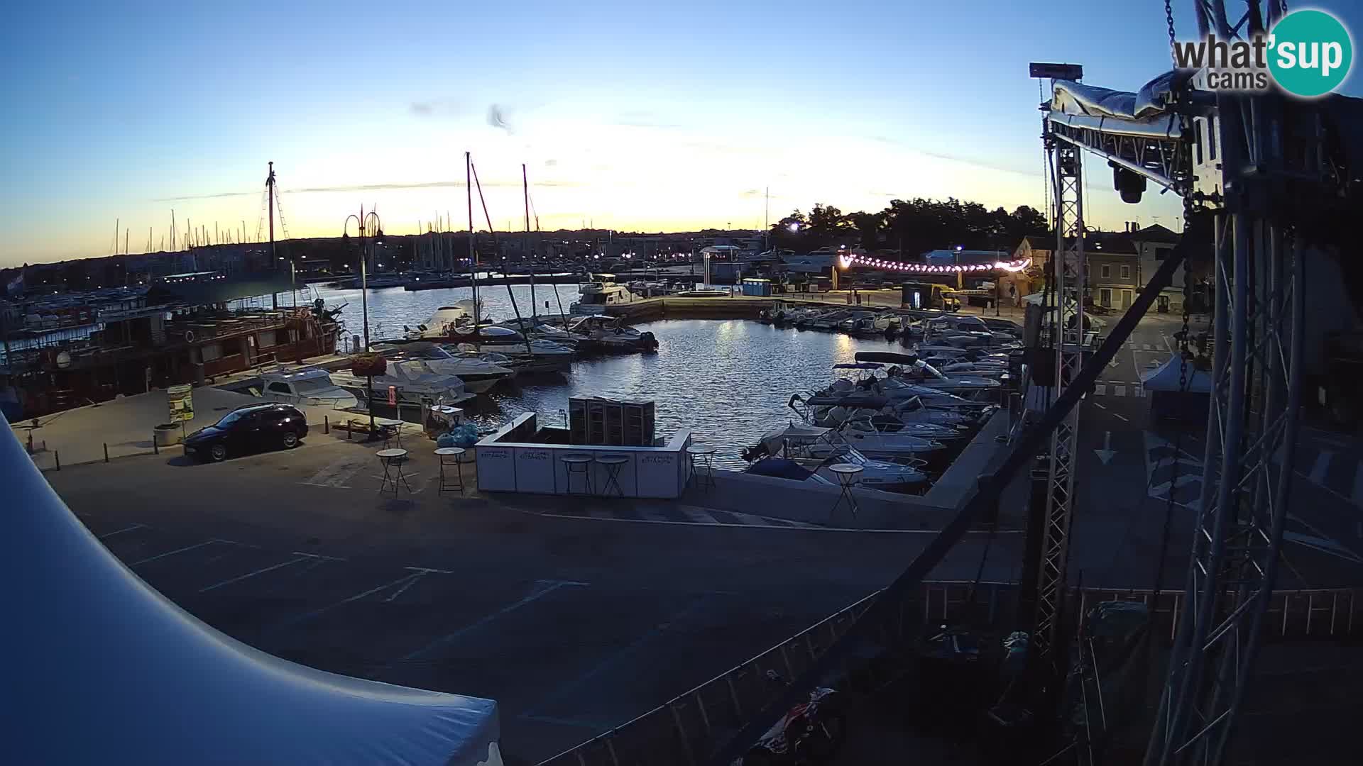 Novigrad | Porporela marina