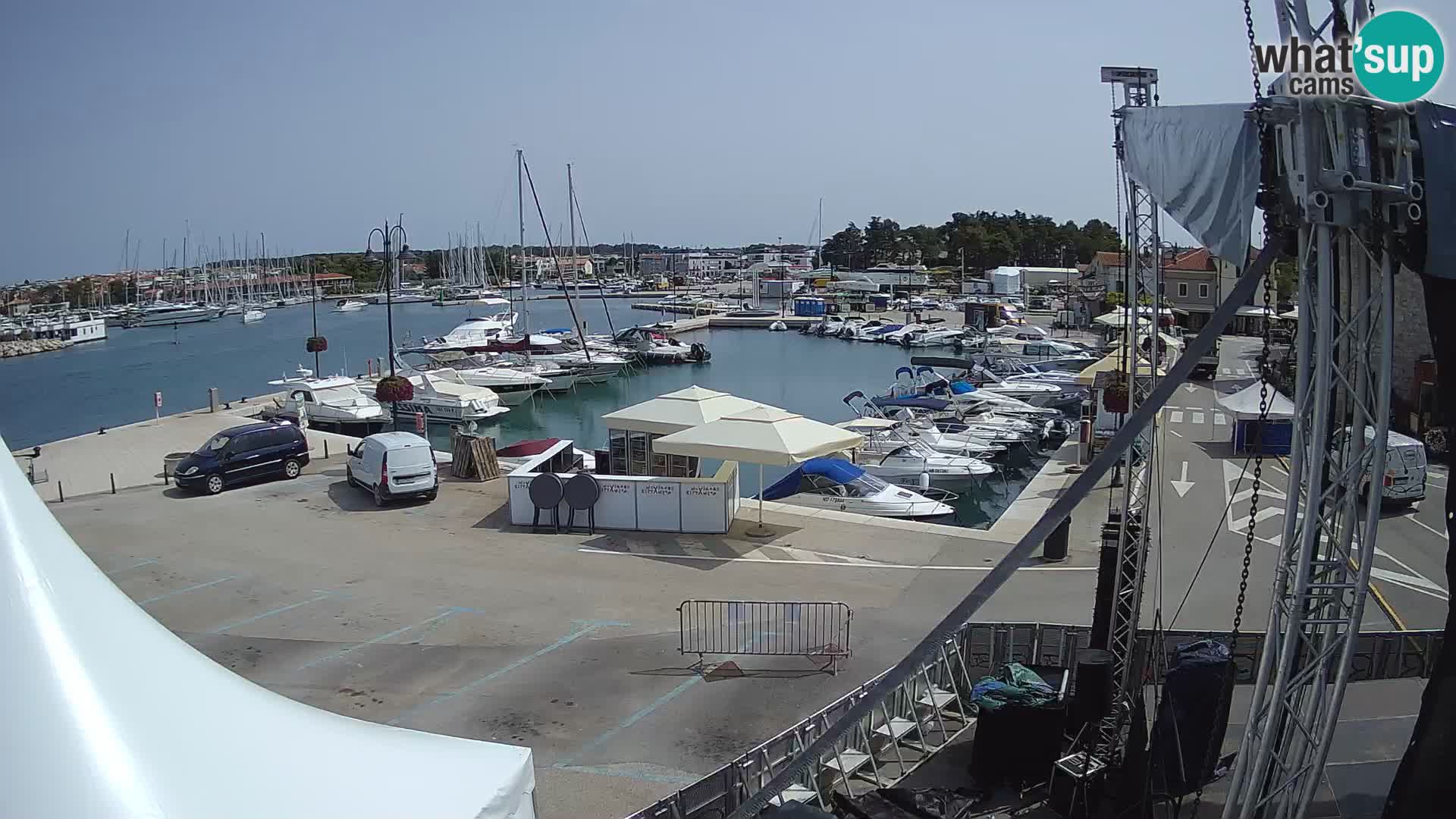 Novigrad | Porporela marina