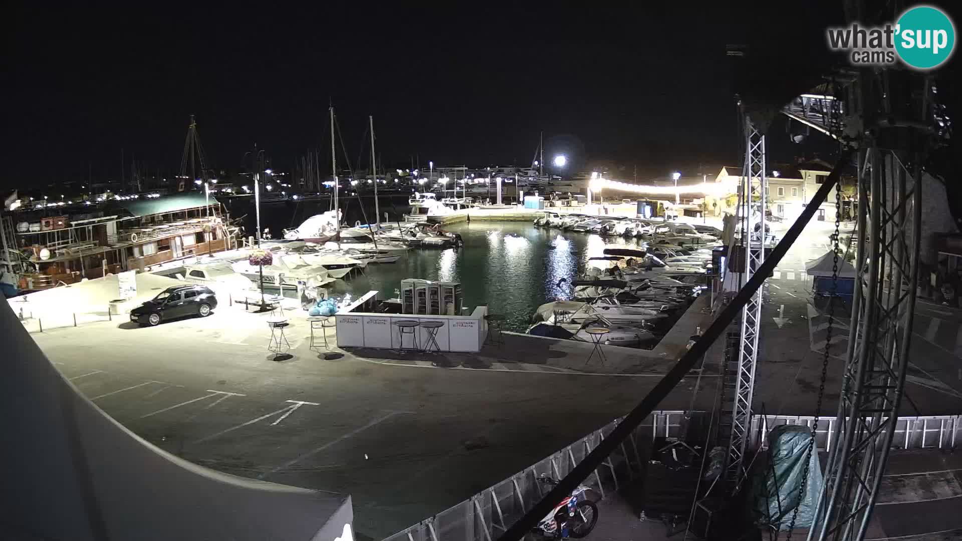 Novigrad | Porporela marina