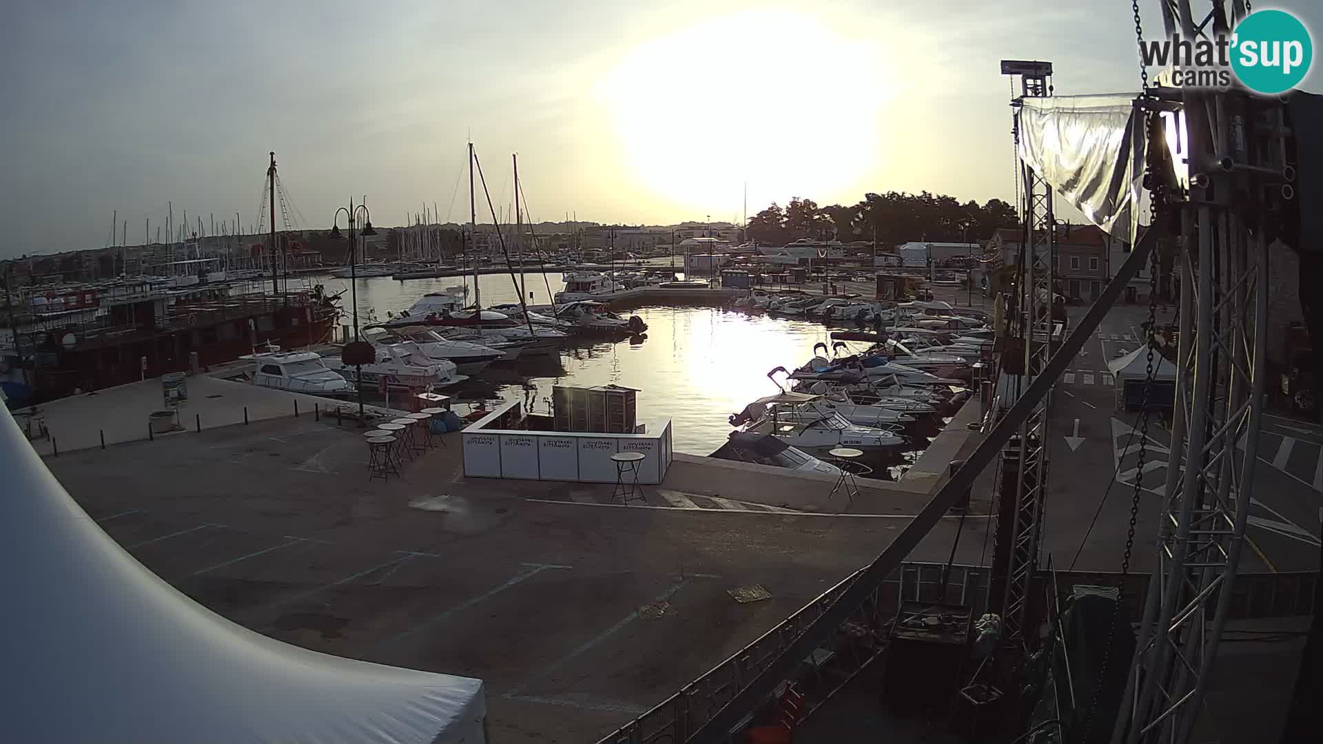 Novigrad | Porporela marina