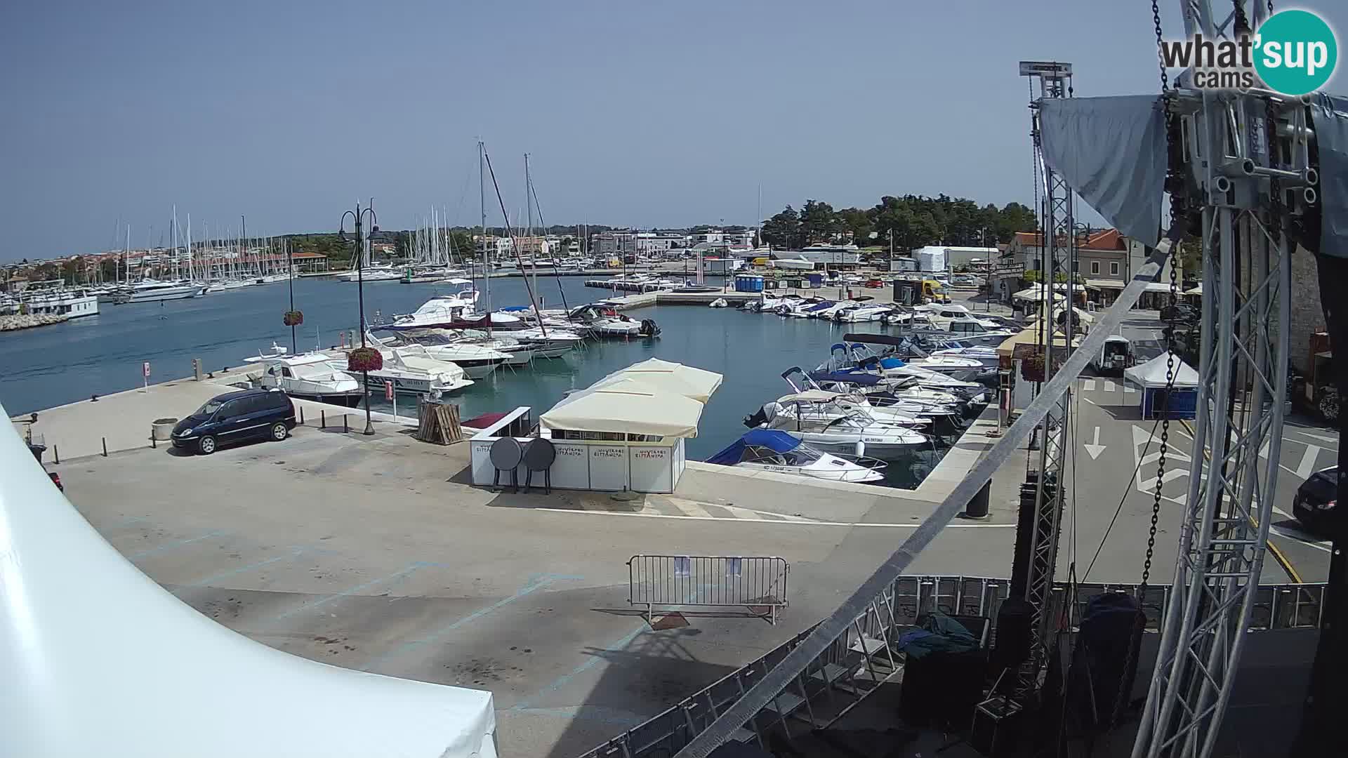 Novigrad | Porporela marina