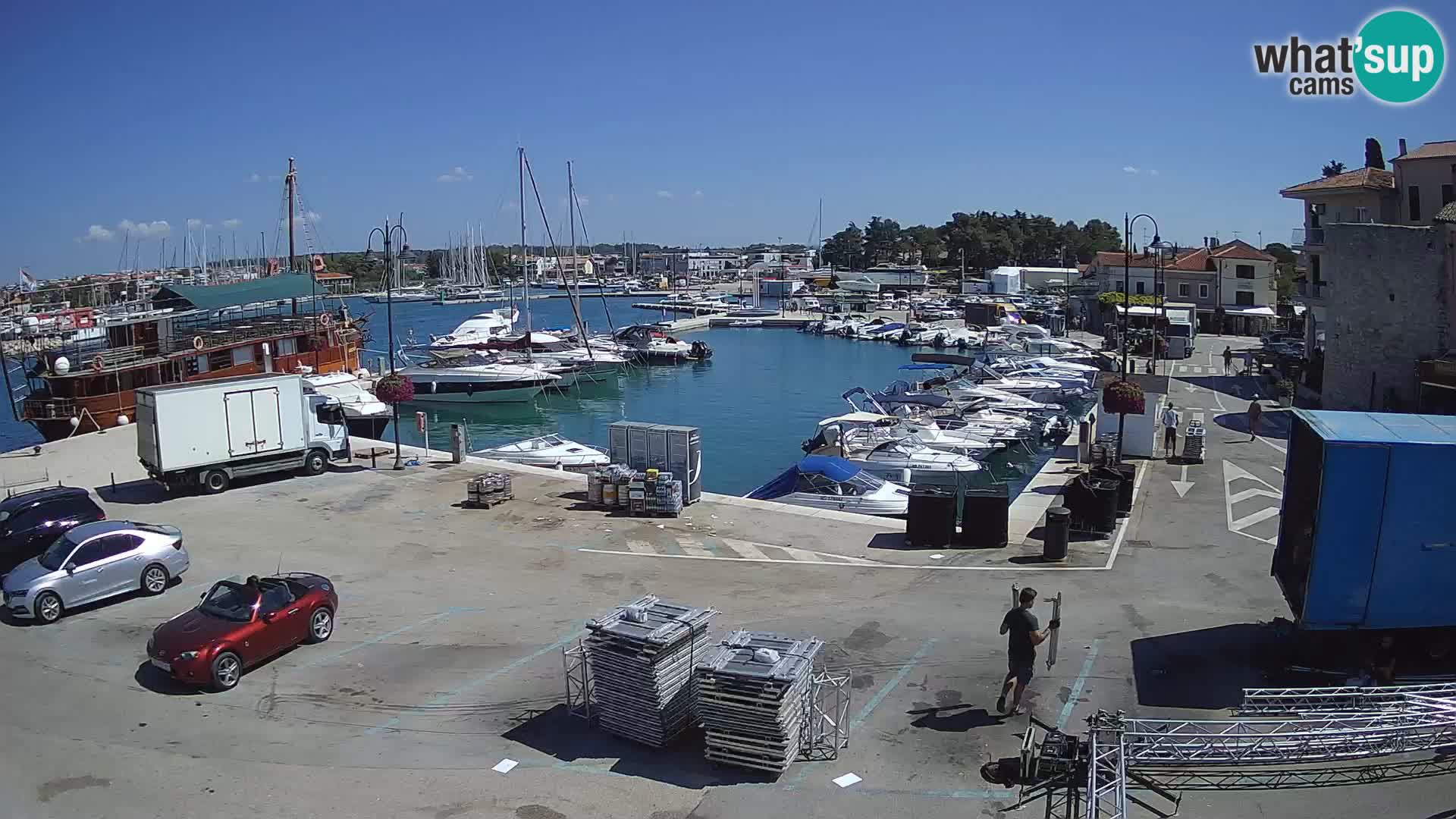 Novigrad | Porporela marina