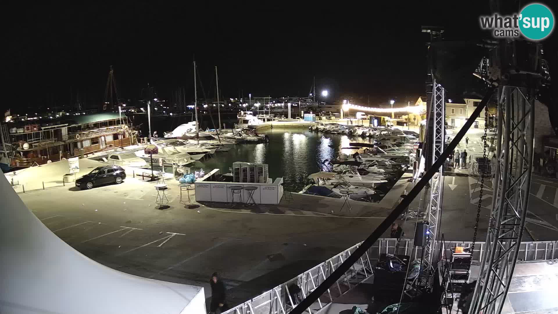 Novigrad | Porporela marina