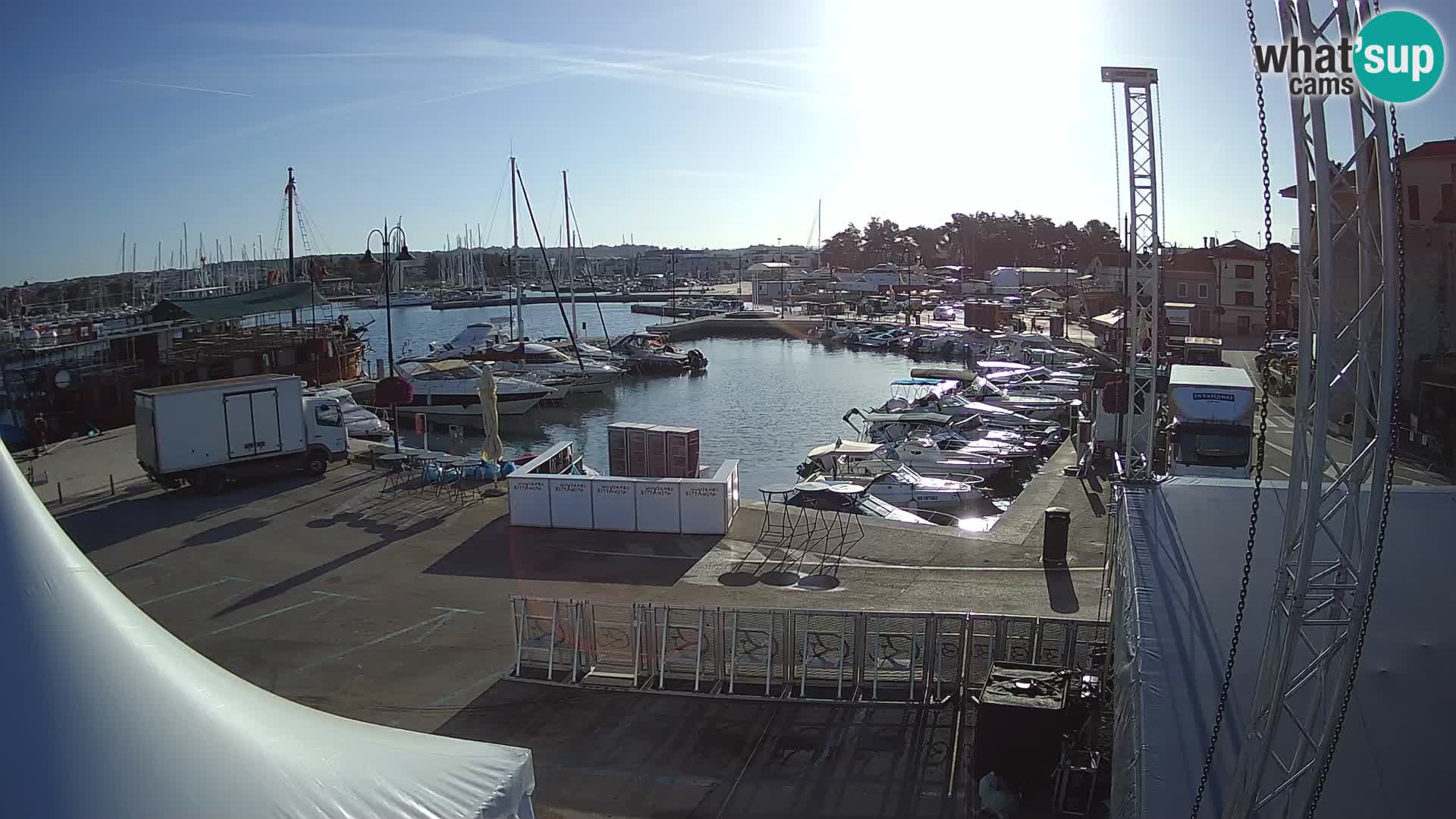 Novigrad | Porporela marina