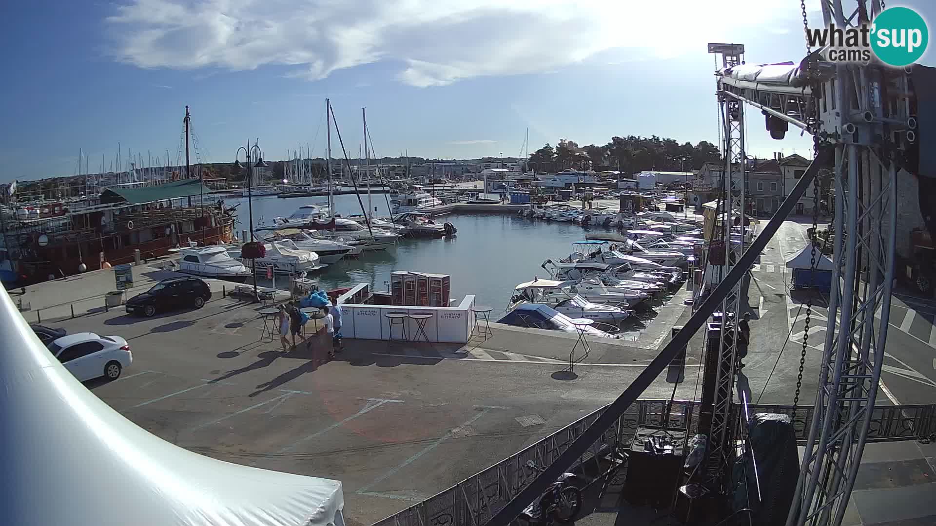 Novigrad | Porporela marina