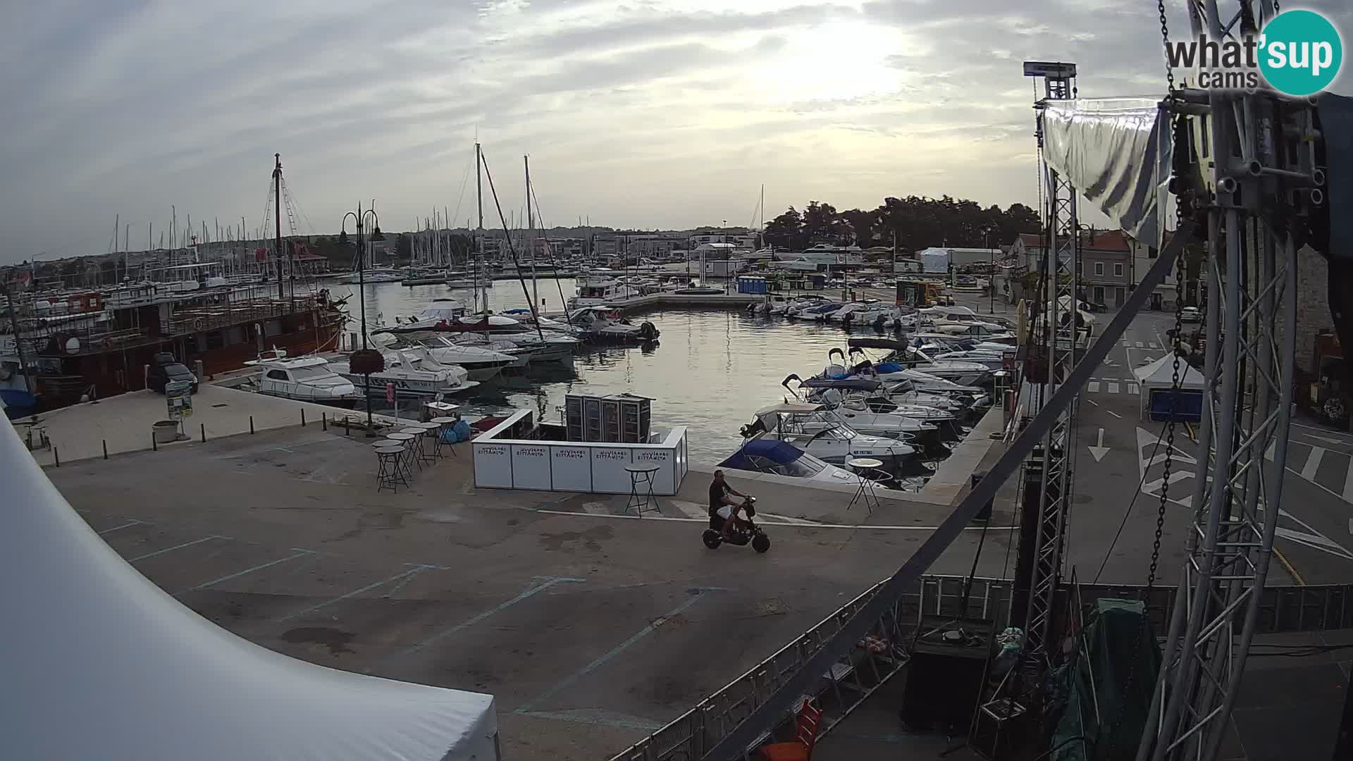 Novigrad | Porporela marina